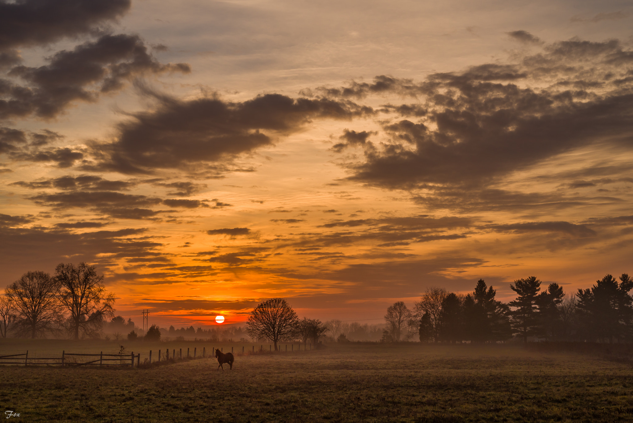 ZEISS Milvus 50mm F2 Macro sample photo. Sunrise on the farm photography