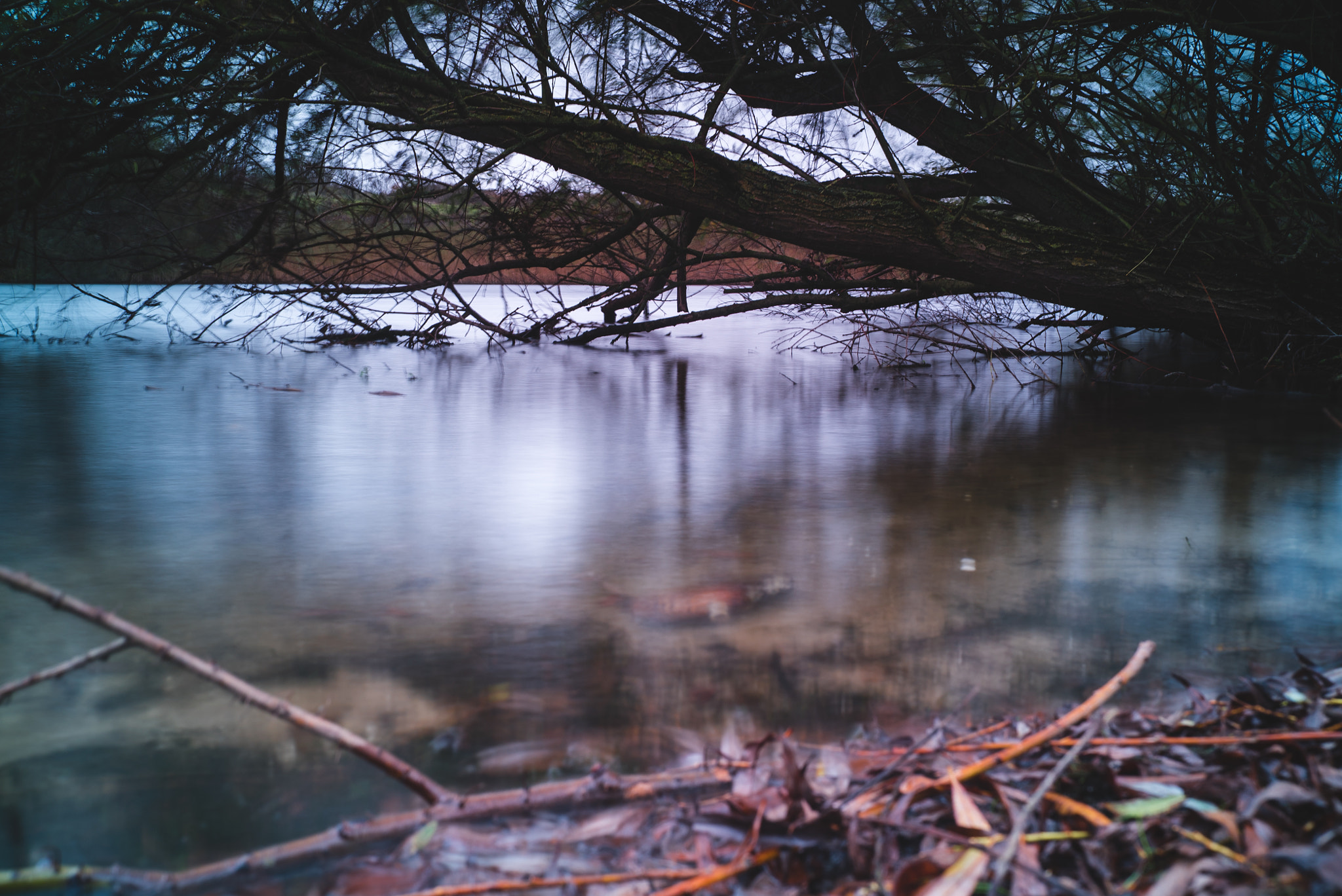 E 35mm F2 sample photo. Nl, panneland - exposure experiment photography