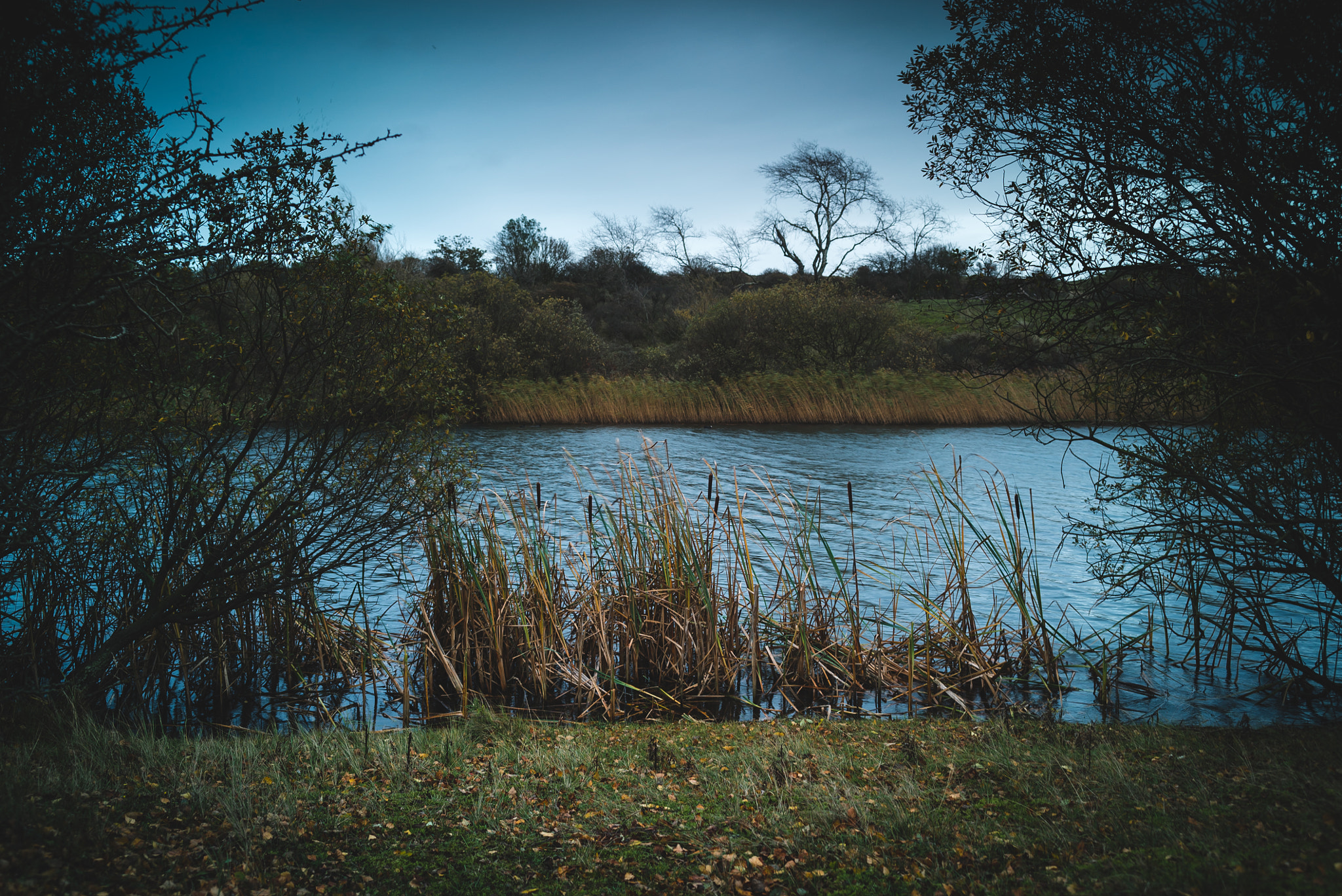 E 35mm F2 sample photo. Nl, panneland - waterside photography