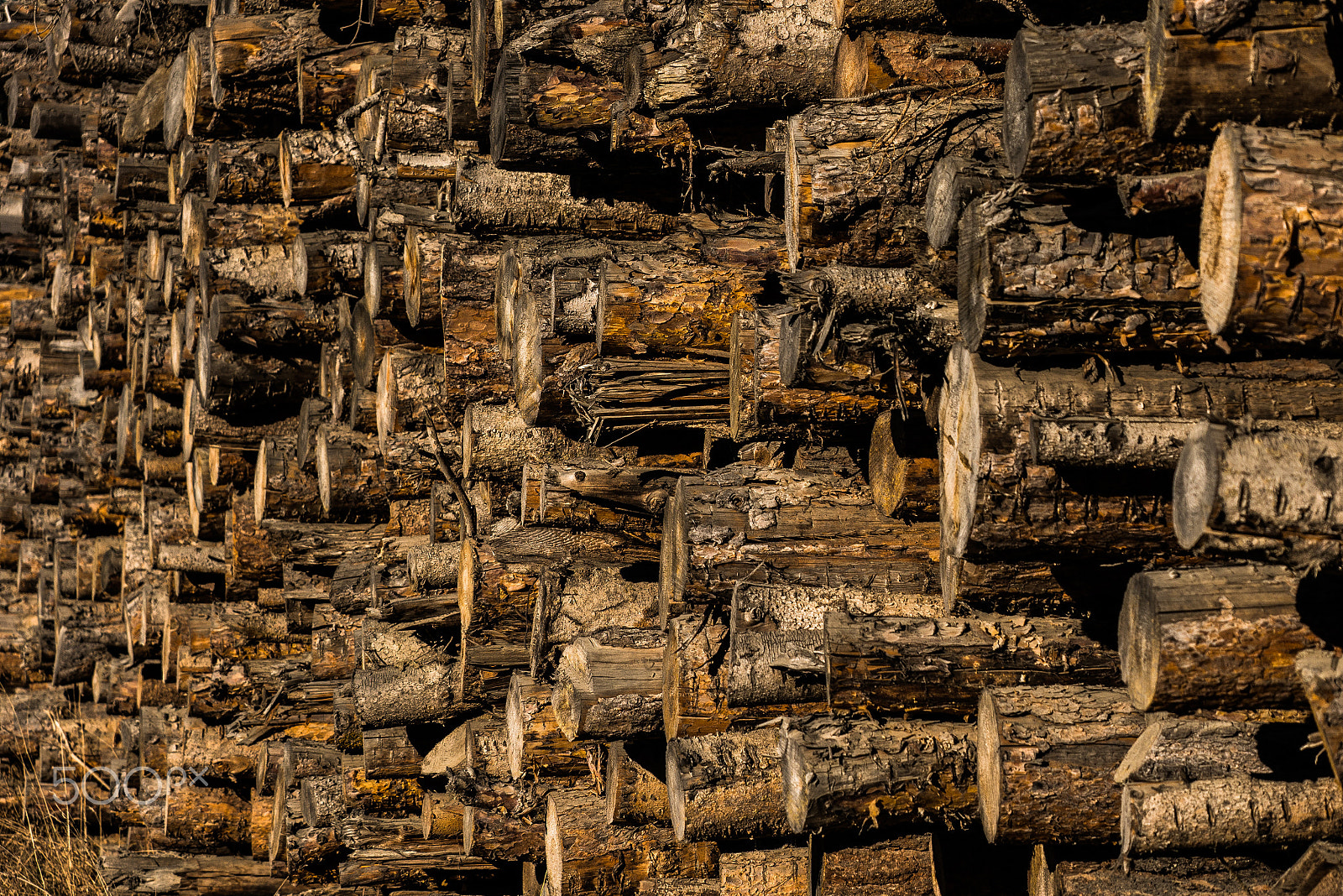 Panasonic Lumix G X Vario 35-100mm F2.8 OIS sample photo. Stack of wood photography