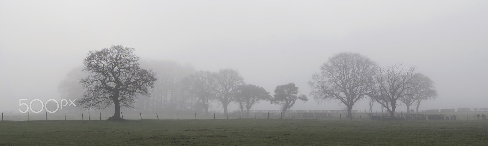 Sony Alpha DSLR-A200 + Sony DT 18-55mm F3.5-5.6 SAM sample photo. Misty morning photography