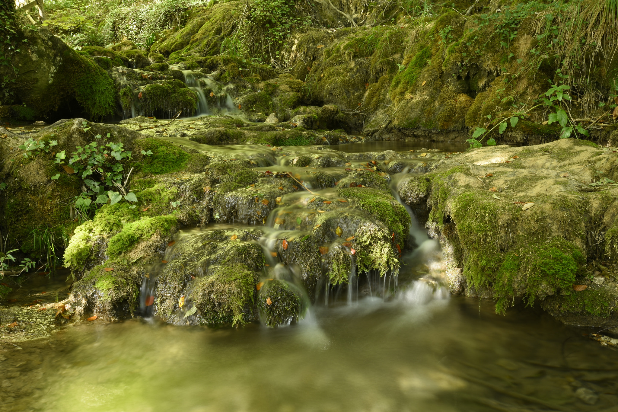 Nikon AF-S Nikkor 16-35mm F4G ED VR sample photo. ____image____ photography