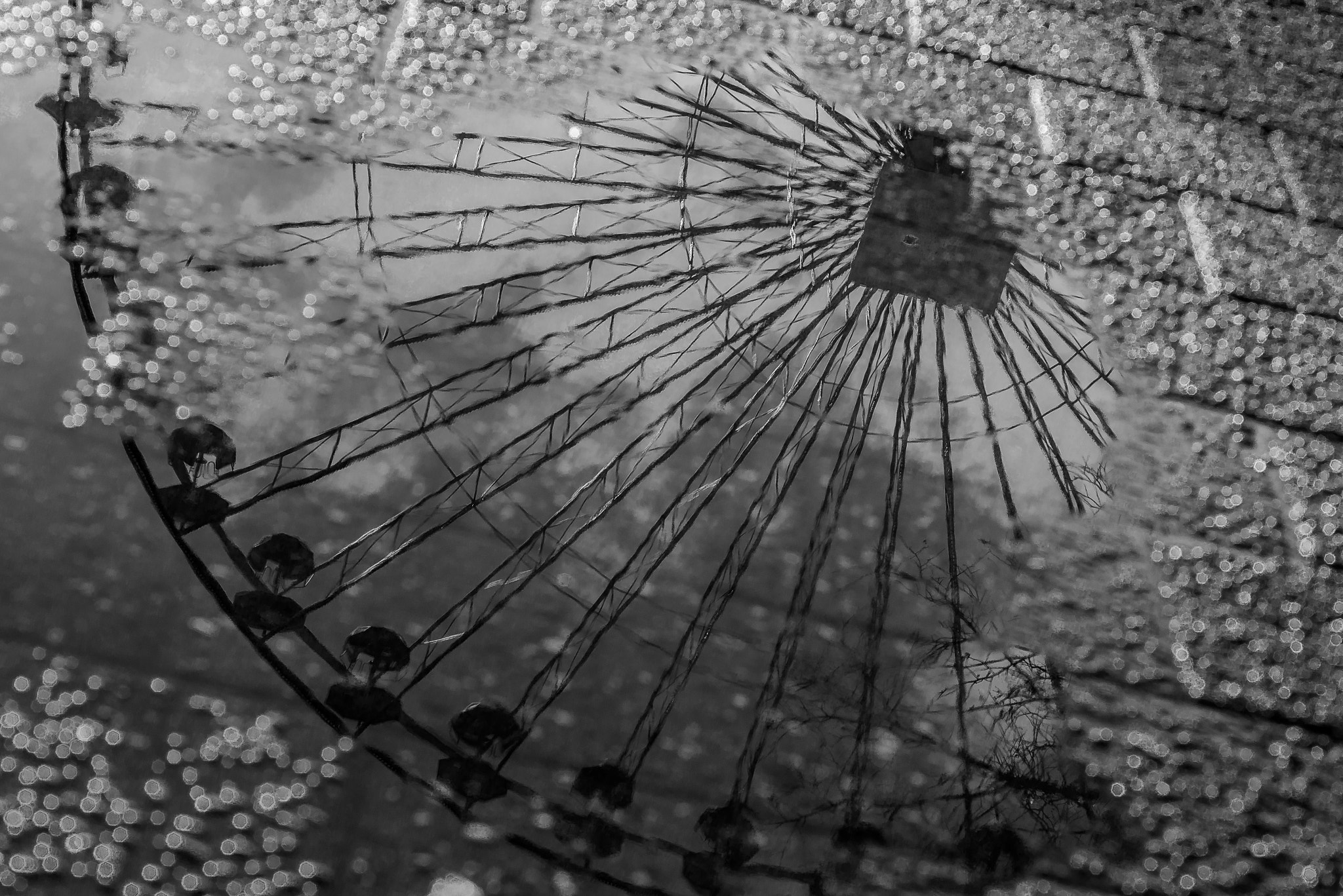 Nikon D800 + AF Micro-Nikkor 60mm f/2.8 sample photo. Wheel of reflection photography