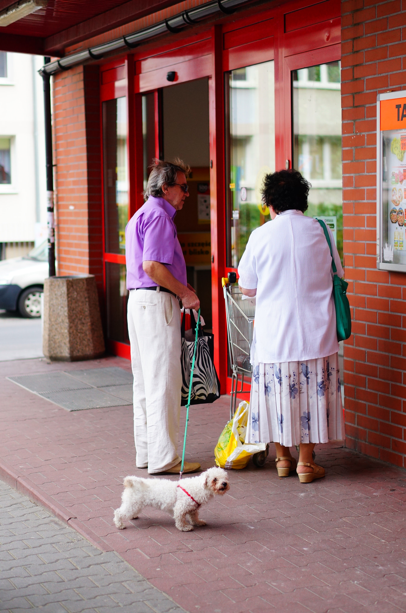 Sony Alpha NEX-6 + Sony E 50mm F1.8 OSS sample photo. People with dog photography
