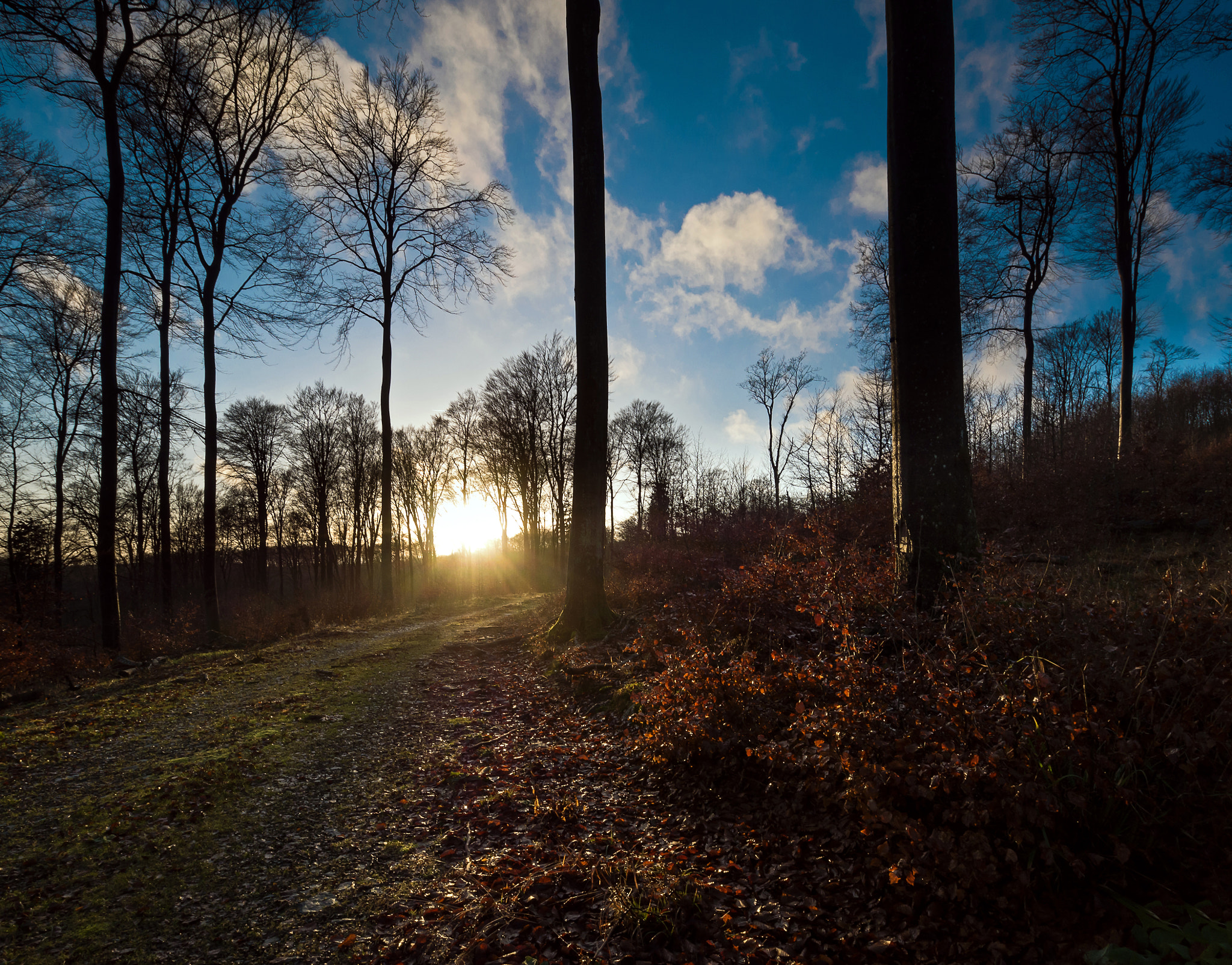 Panasonic DMC-G70 + OLYMPUS M.9-18mm F4.0-5.6 sample photo. Die letzten sonnenstrahlen von 2015 photography