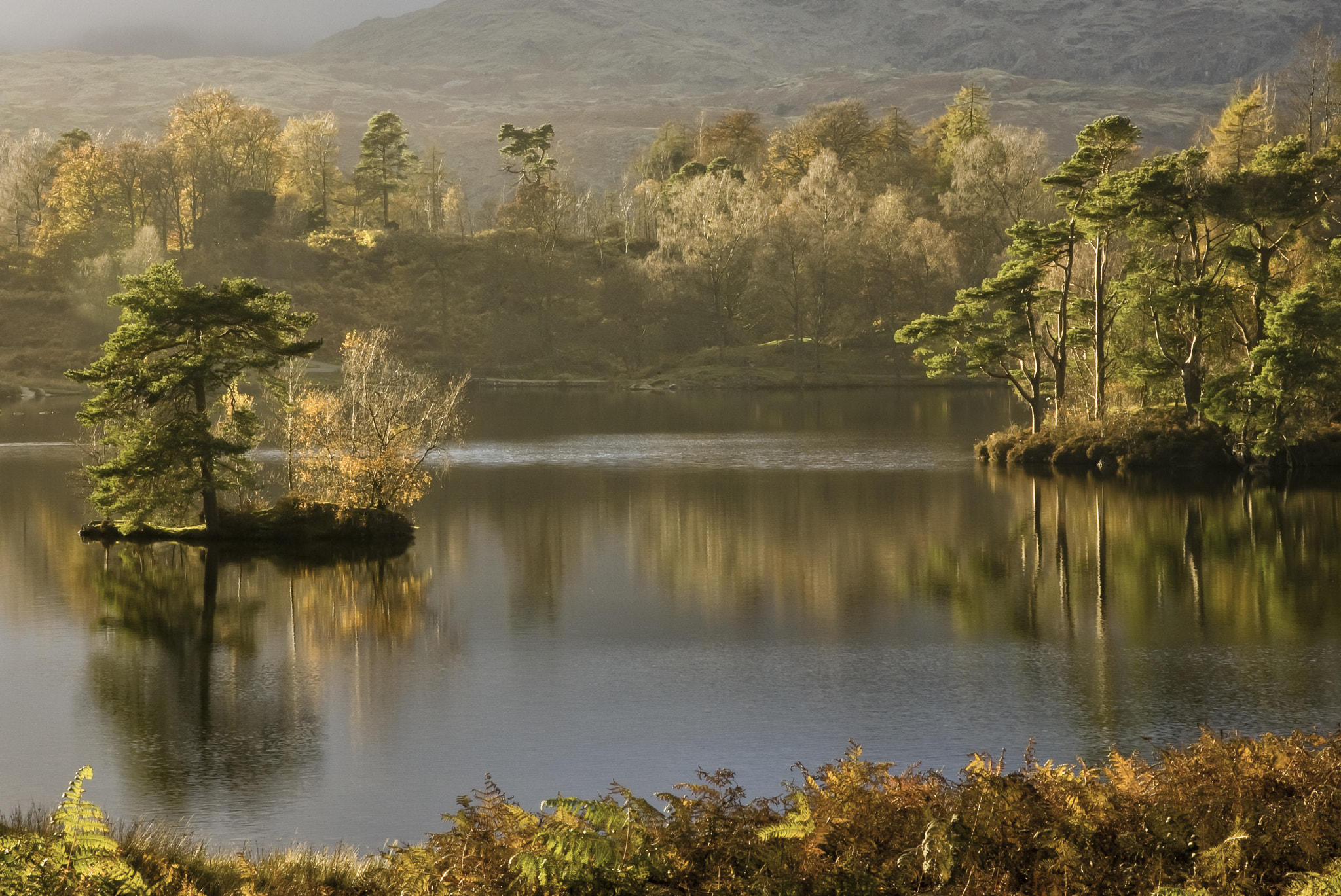 Canon 24.0-105.0 mm sample photo. Tarn hows evening light photography