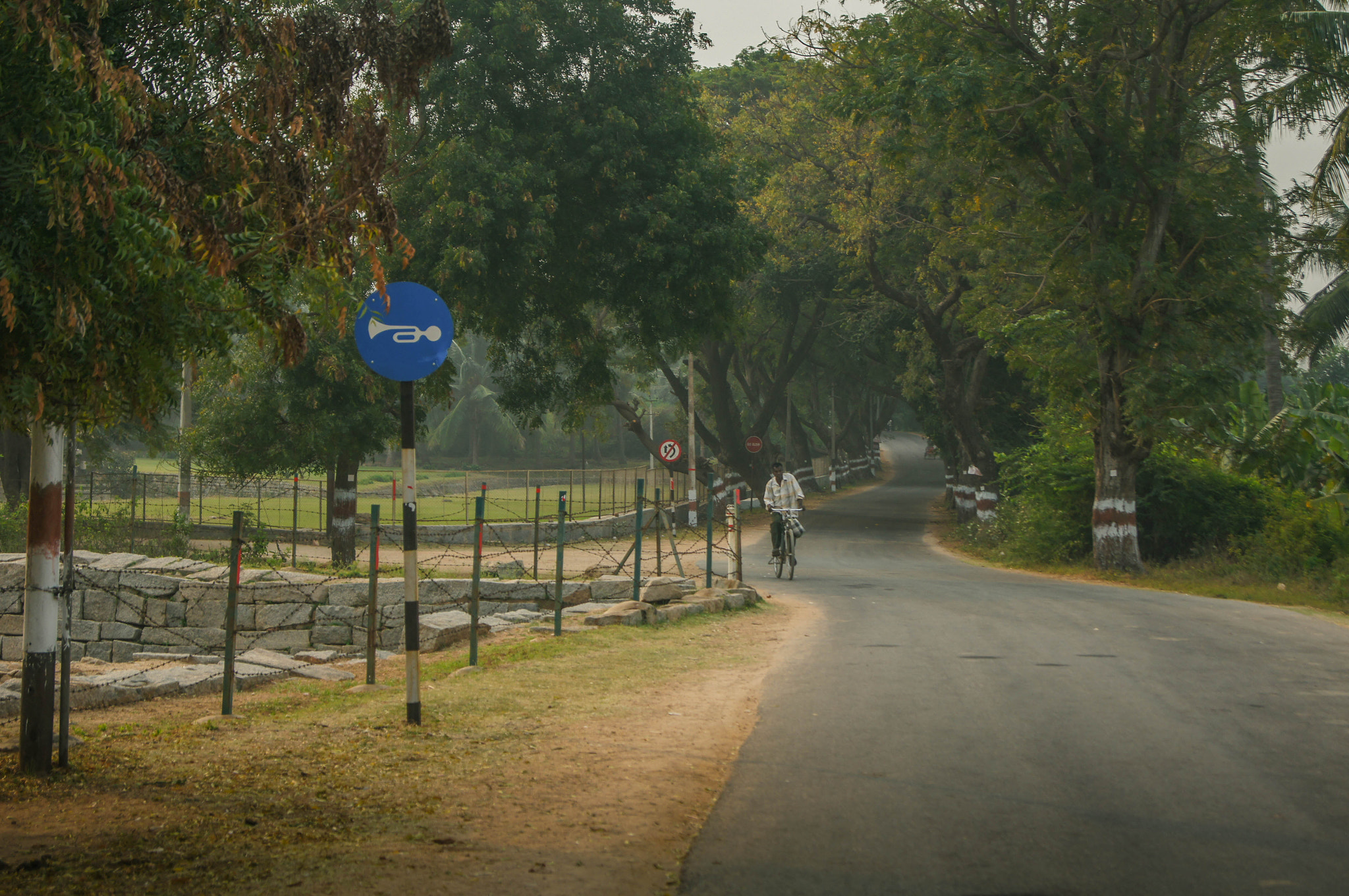 Sony Alpha DSLR-A580 sample photo. Ruin area in hampi photography