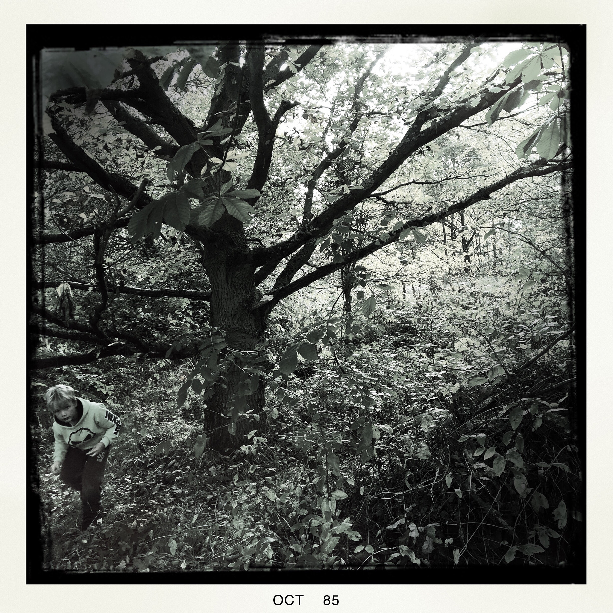 Hipstamatic 301 sample photo