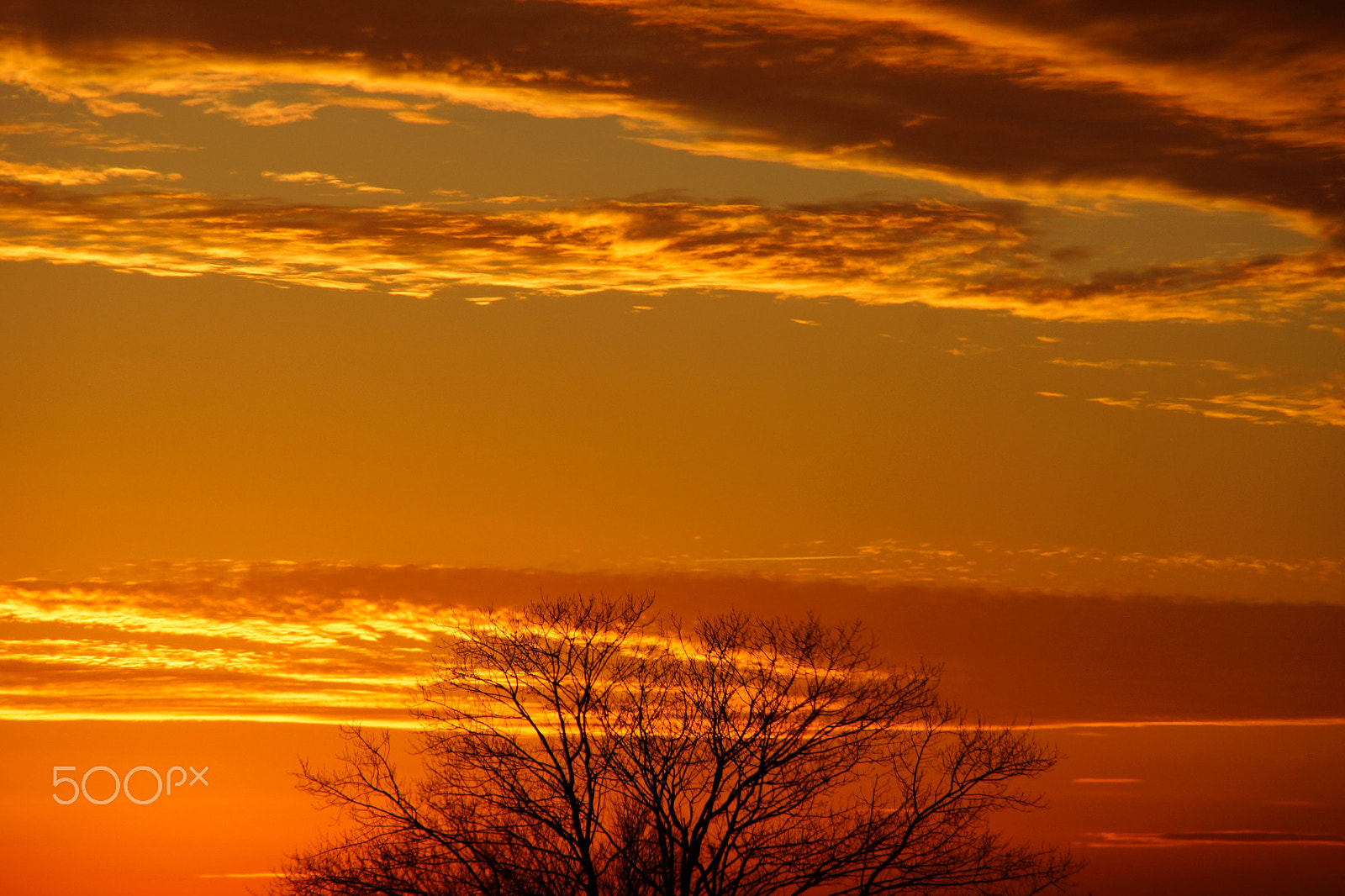 Sony SLT-A77 sample photo. __sunset in the country__ photography