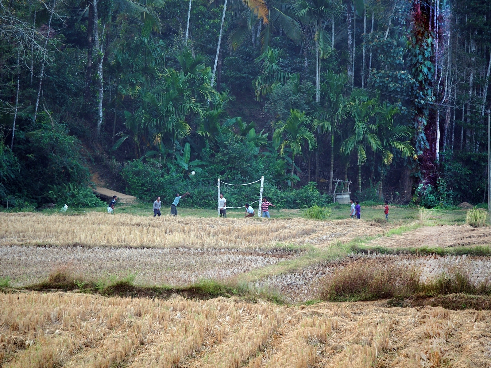 Olympus OM-D E-M5 sample photo. Village life. photography