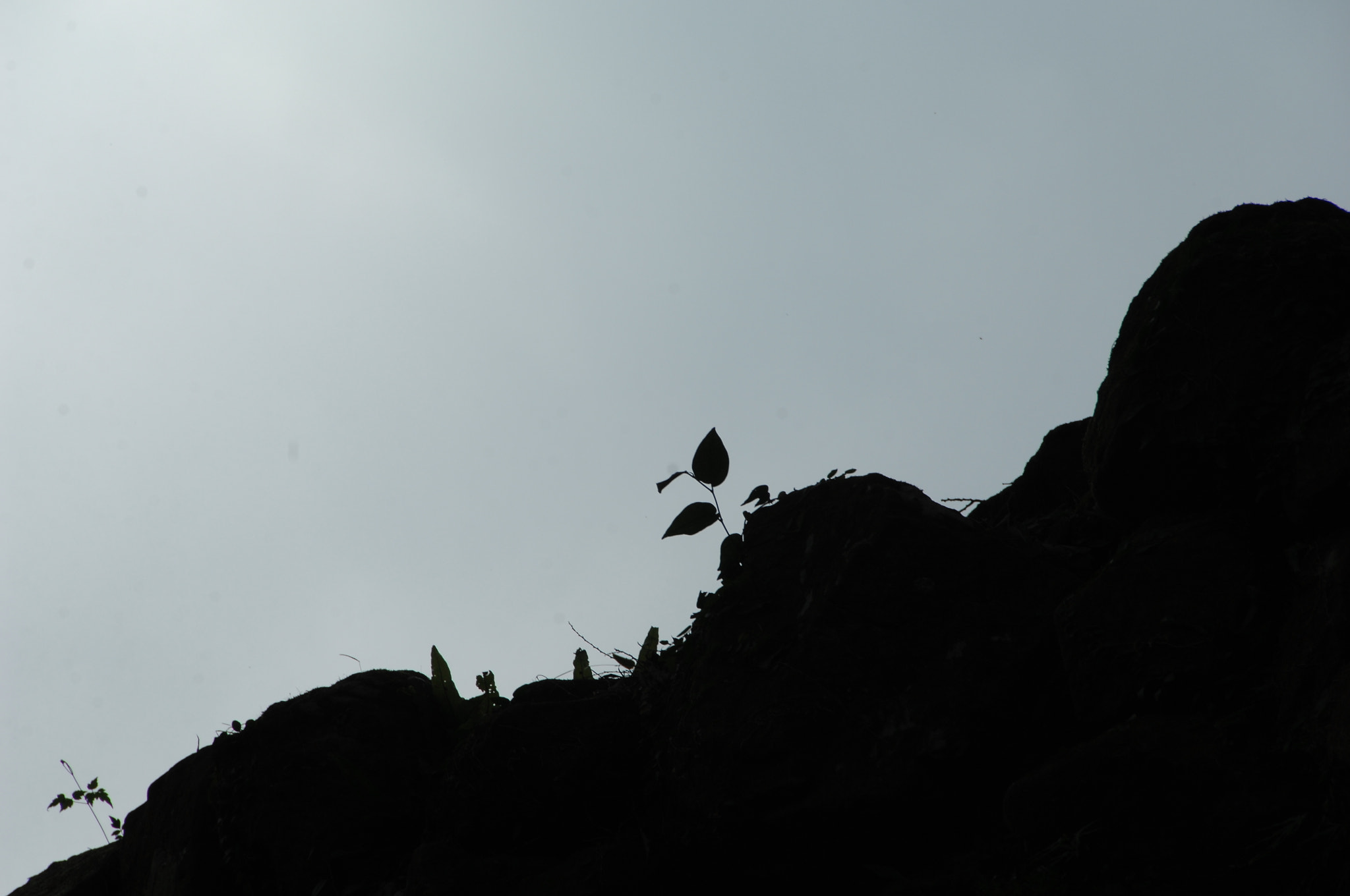 Nikon D2X sample photo. .. photography