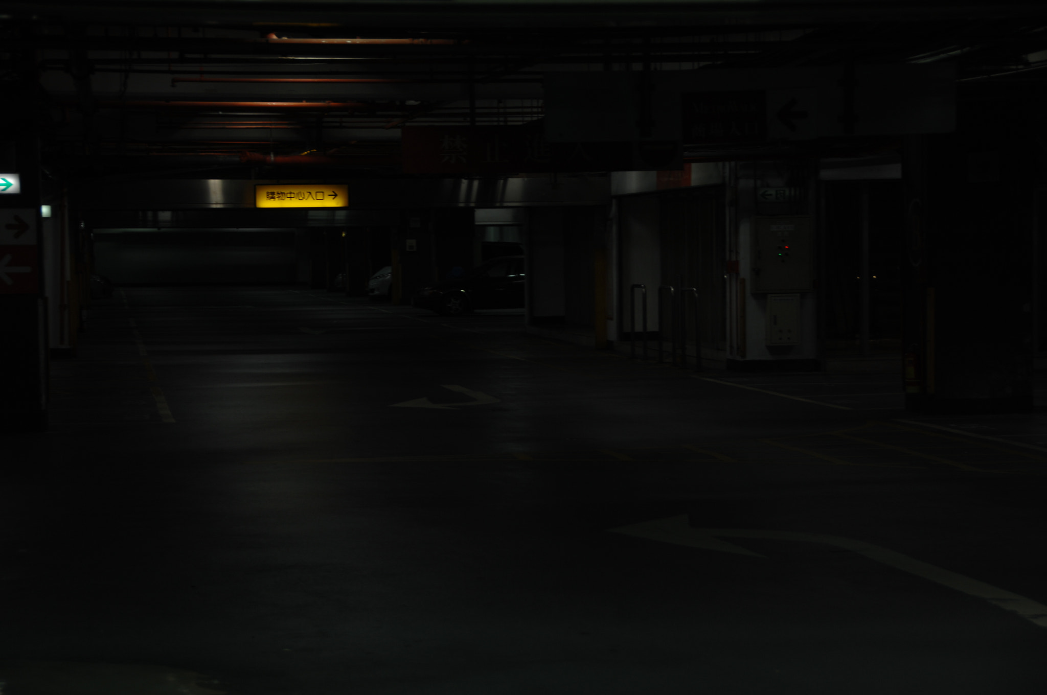 Nikon D2X sample photo. .. photography