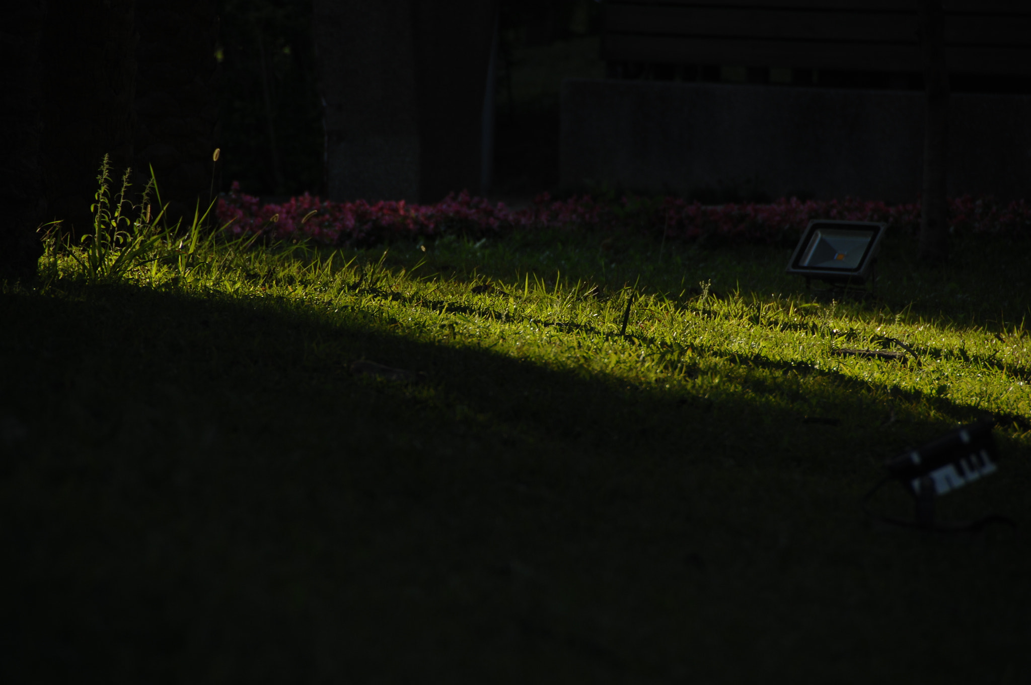 Nikon D2X sample photo. .. photography