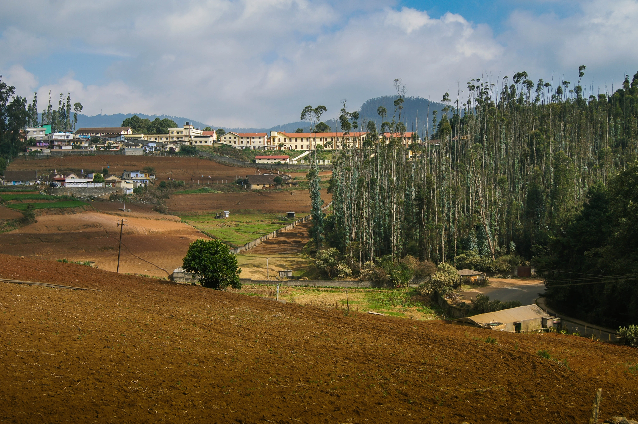 Sony Alpha DSLR-A580 sample photo. Fields near ooty photography
