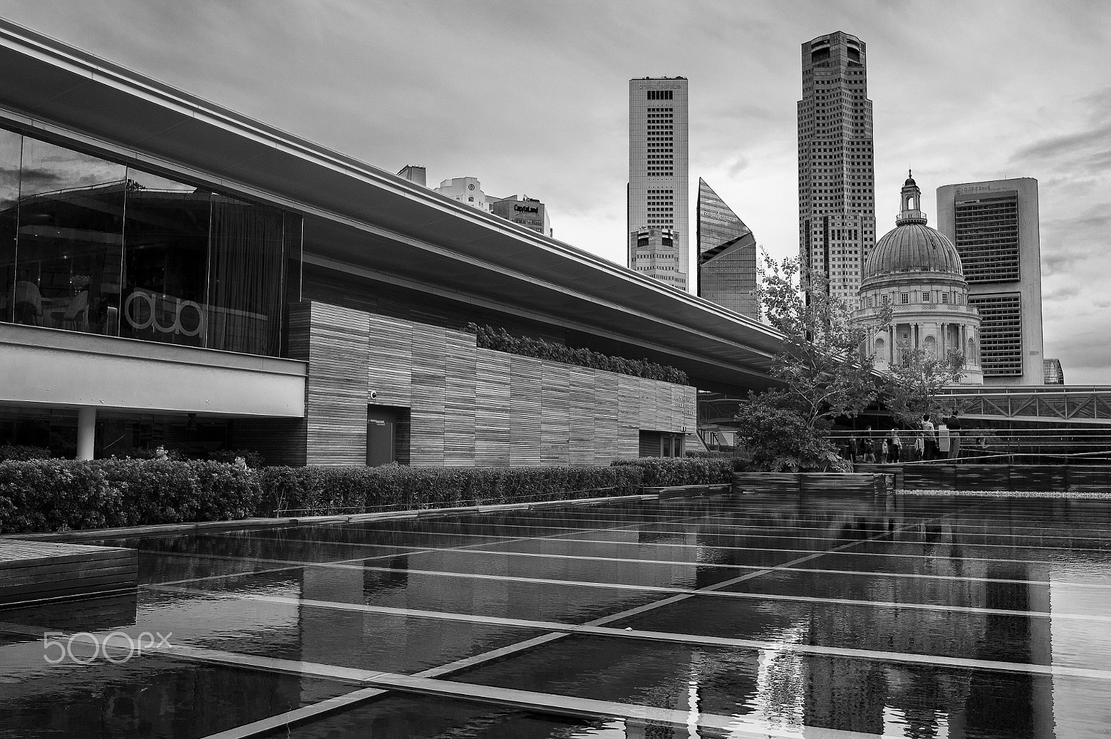 Nikon D3S + Sigma 35mm F1.4 DG HSM Art sample photo. Rooftop garden photography