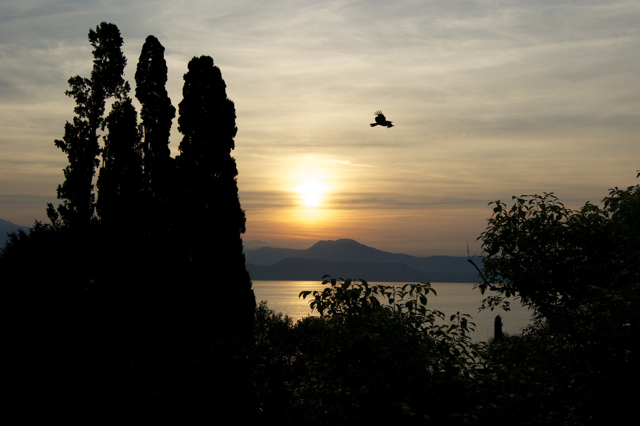 Sony DT 18-55mm F3.5-5.6 SAM II sample photo. Last flight photography