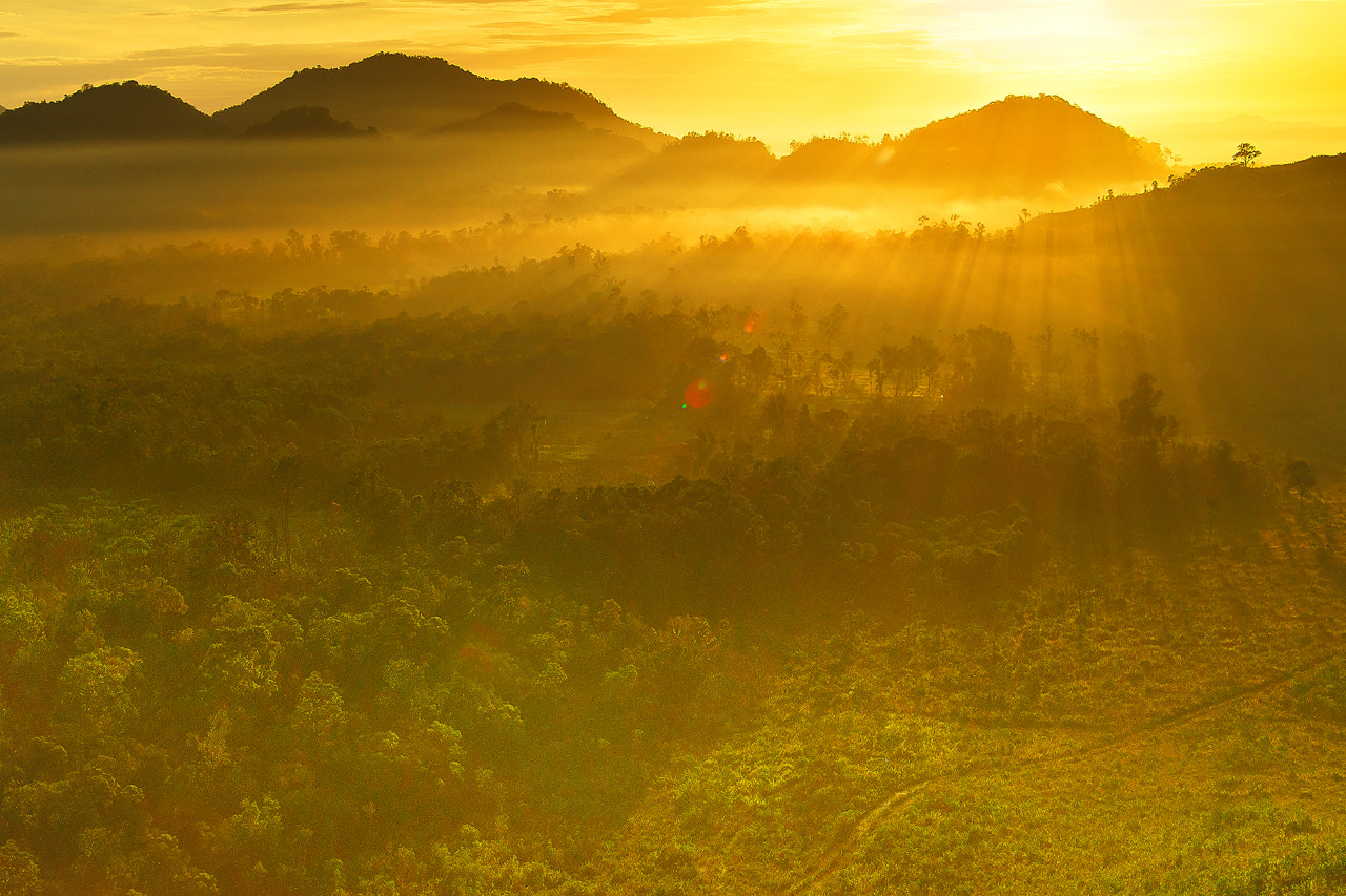 Sony Alpha DSLR-A850 + Minolta AF 17-35mm F2.8-4 (D) sample photo. The mist photography