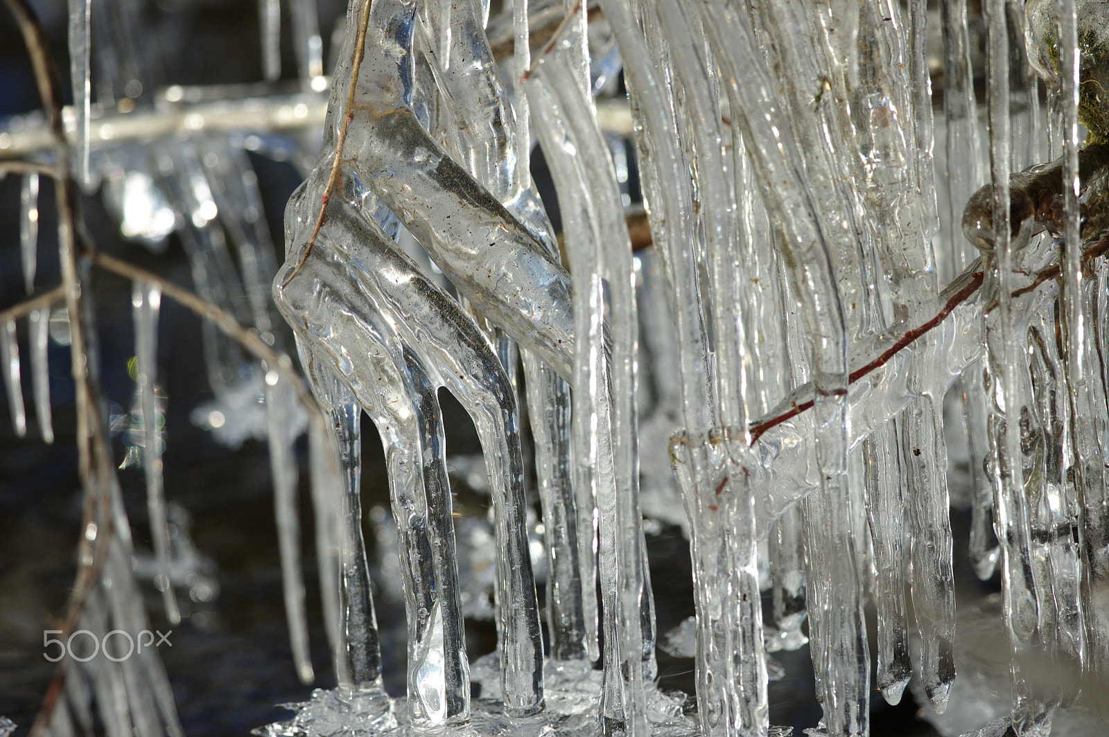 Nikon D70 + Nikon AF-S Nikkor 300mm F4D ED-IF sample photo. Icicles photography