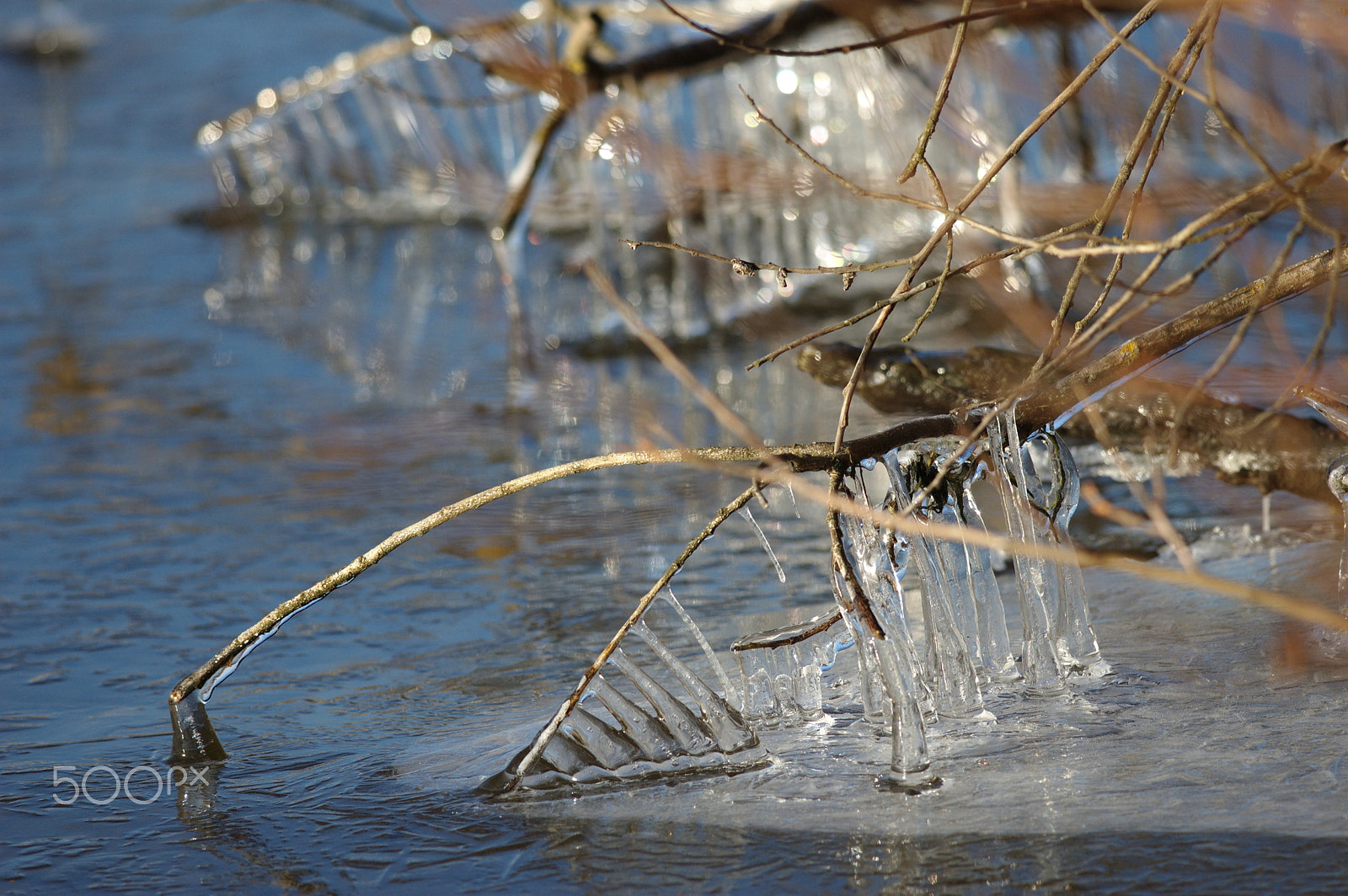 Nikon D70 + Nikon AF-S Nikkor 300mm F4D ED-IF sample photo. Icy pattern photography