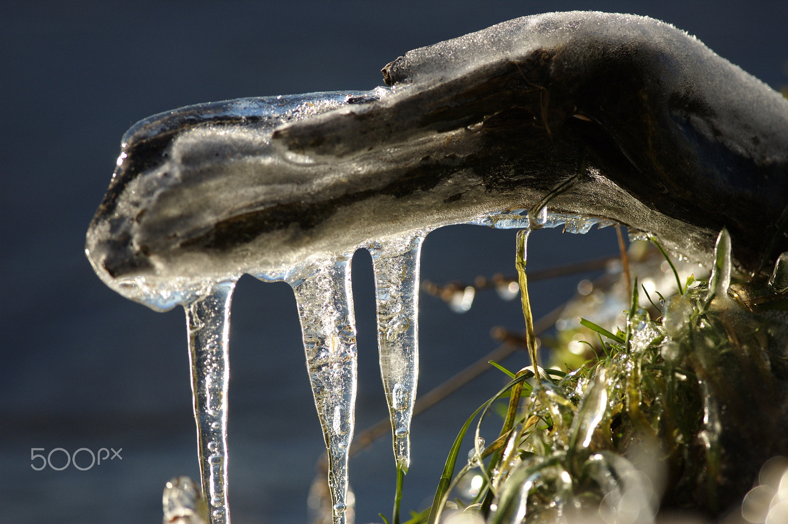 Nikon D70 + Nikon AF-S Nikkor 300mm F4D ED-IF sample photo. Icicles photography