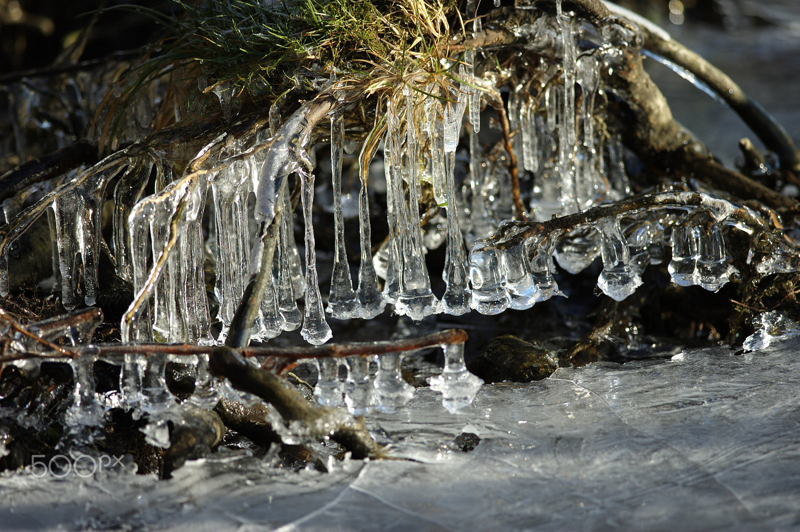 Nikon D70 + Nikon AF-S Nikkor 300mm F4D ED-IF sample photo. Icicles photography