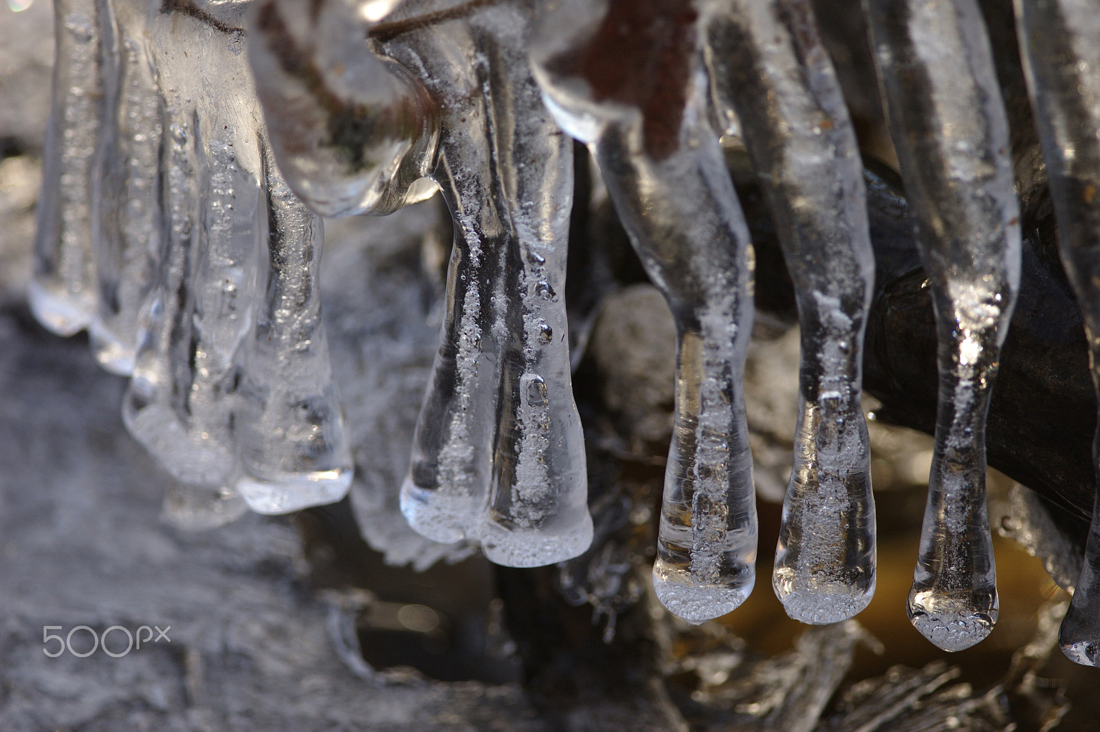 Nikon D70 + Nikon AF-S Nikkor 300mm F4D ED-IF sample photo. Icicles photography