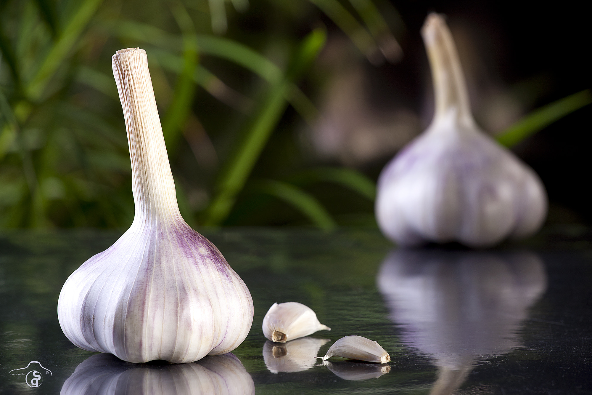 Canon EOS-1Ds Mark III sample photo. Knoblauch. garlic photography