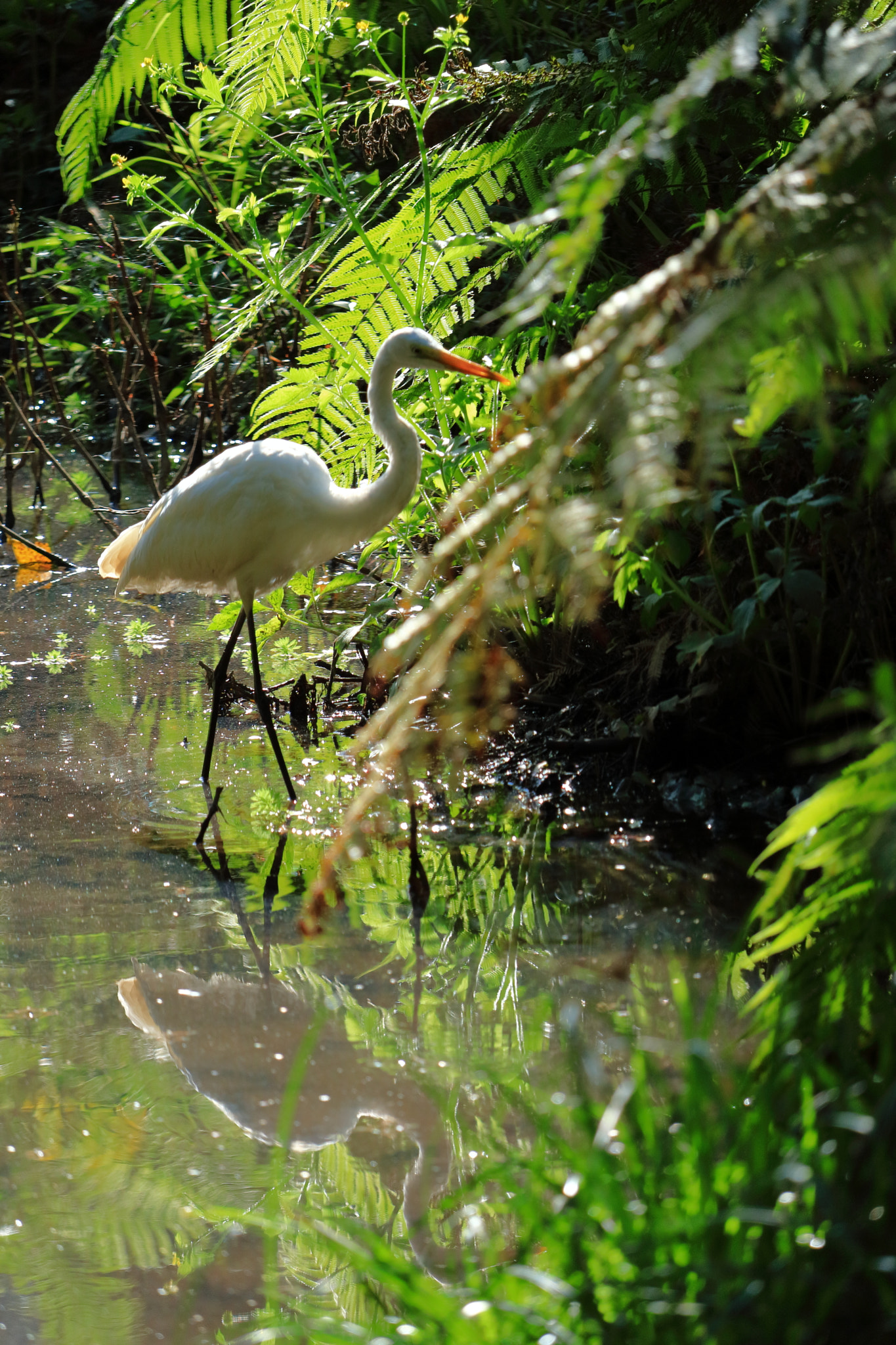 Canon EOS M3 sample photo. Small pond photography
