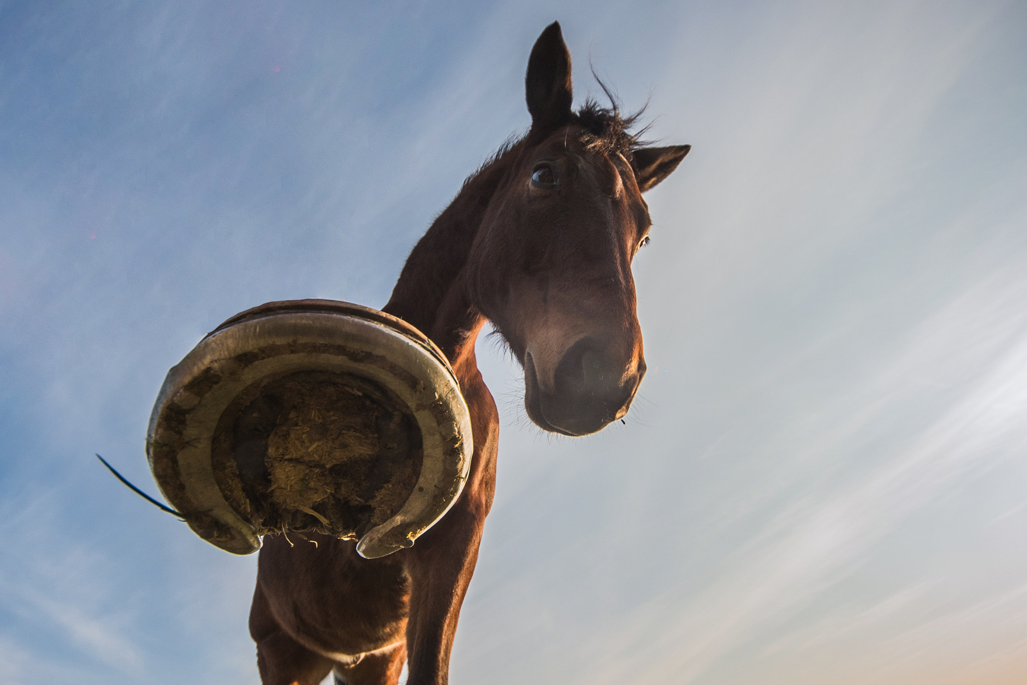 Sigma 8-16mm F4.5-5.6 DC HSM sample photo. Servus photography