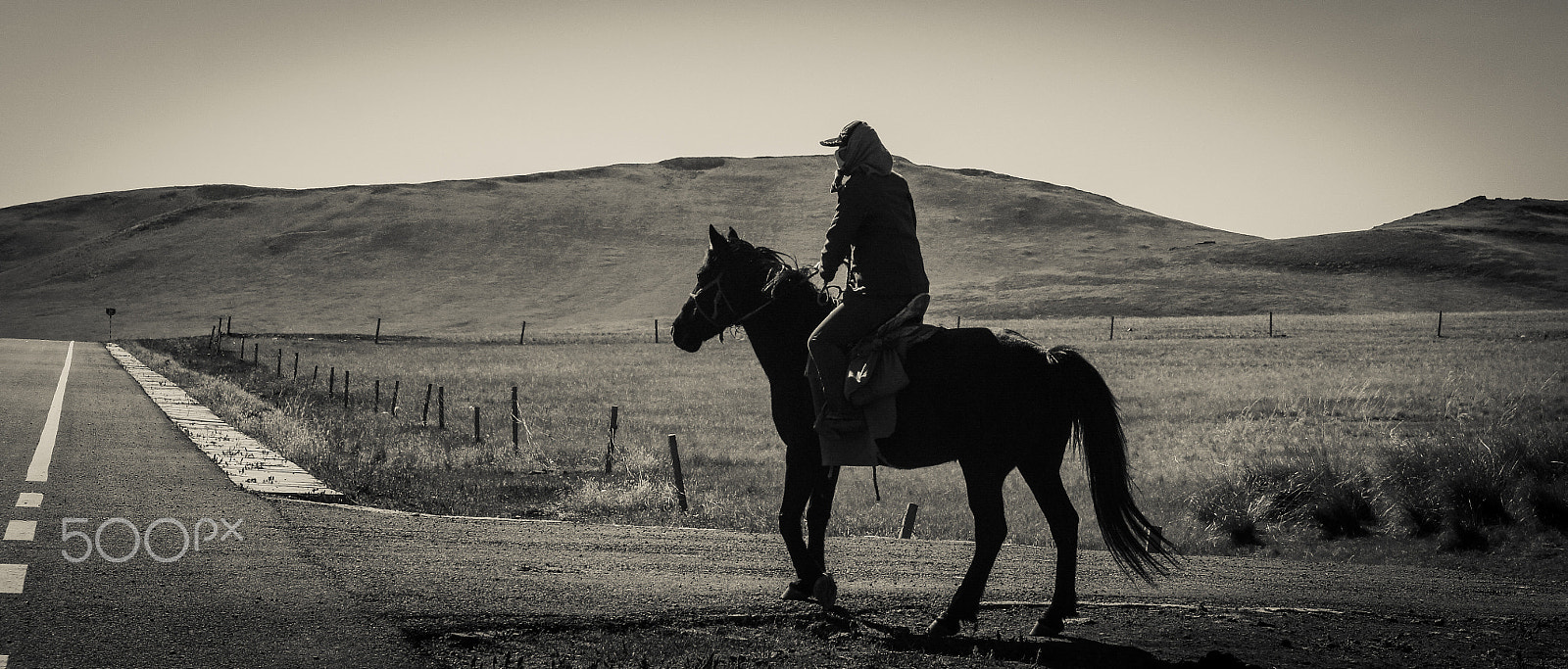 Sony NEX-5C + Sony E 18-55mm F3.5-5.6 OSS sample photo. Horseman on road photography