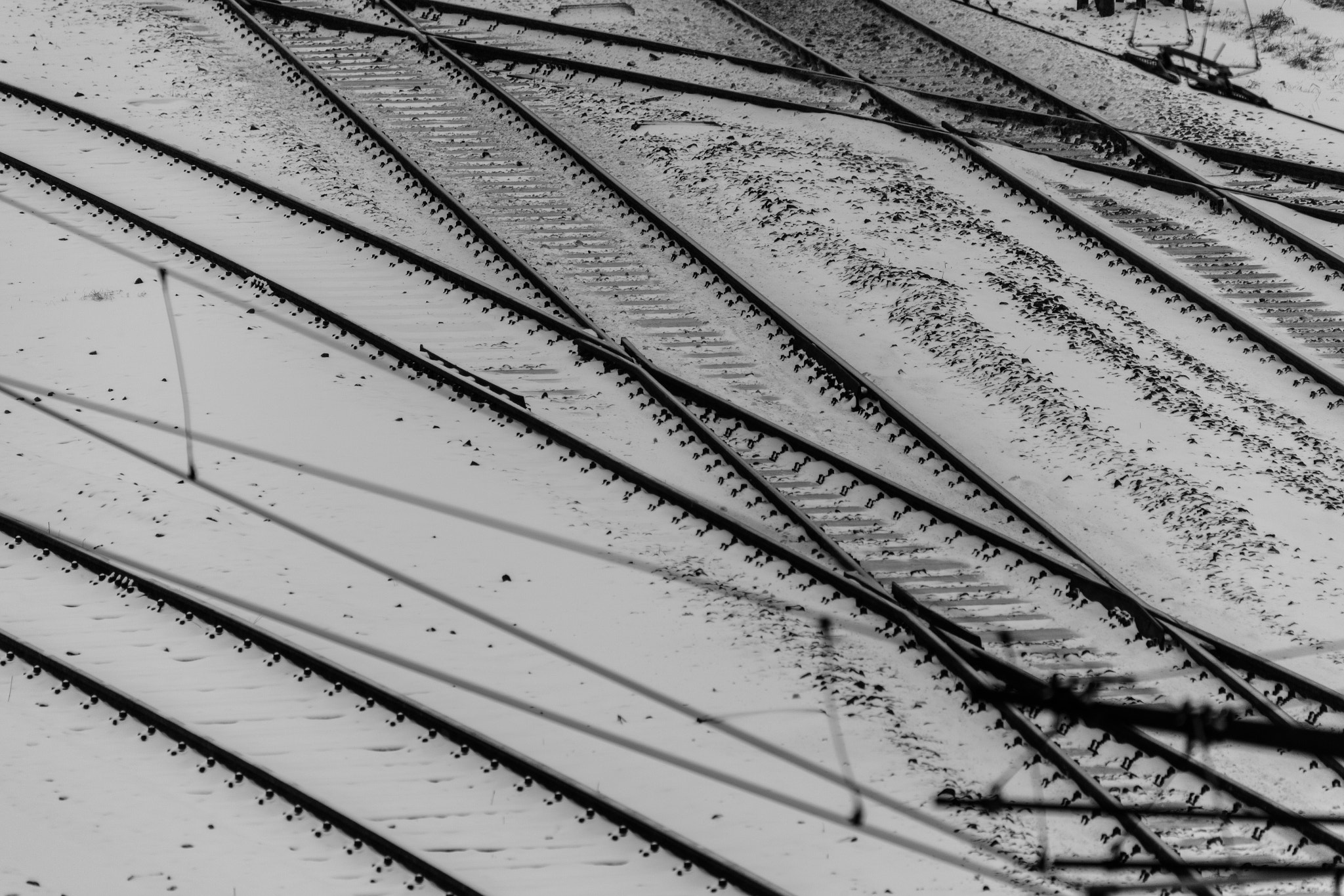 Canon EOS-1Ds Mark II sample photo. Snow on rails photography