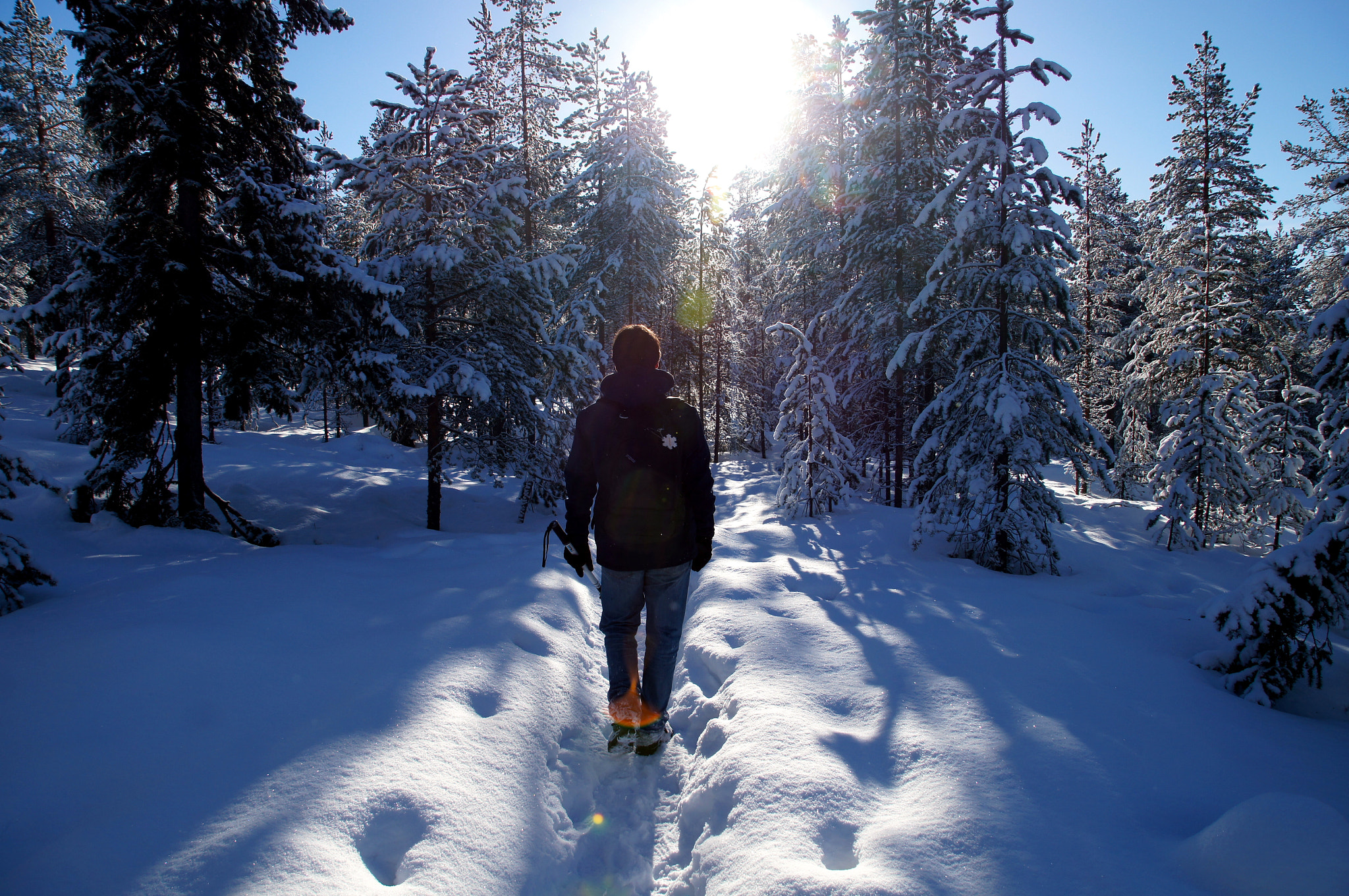 Sony SLT-A35 + Sony DT 16-50mm F2.8 SSM sample photo. Rovaniemi photography