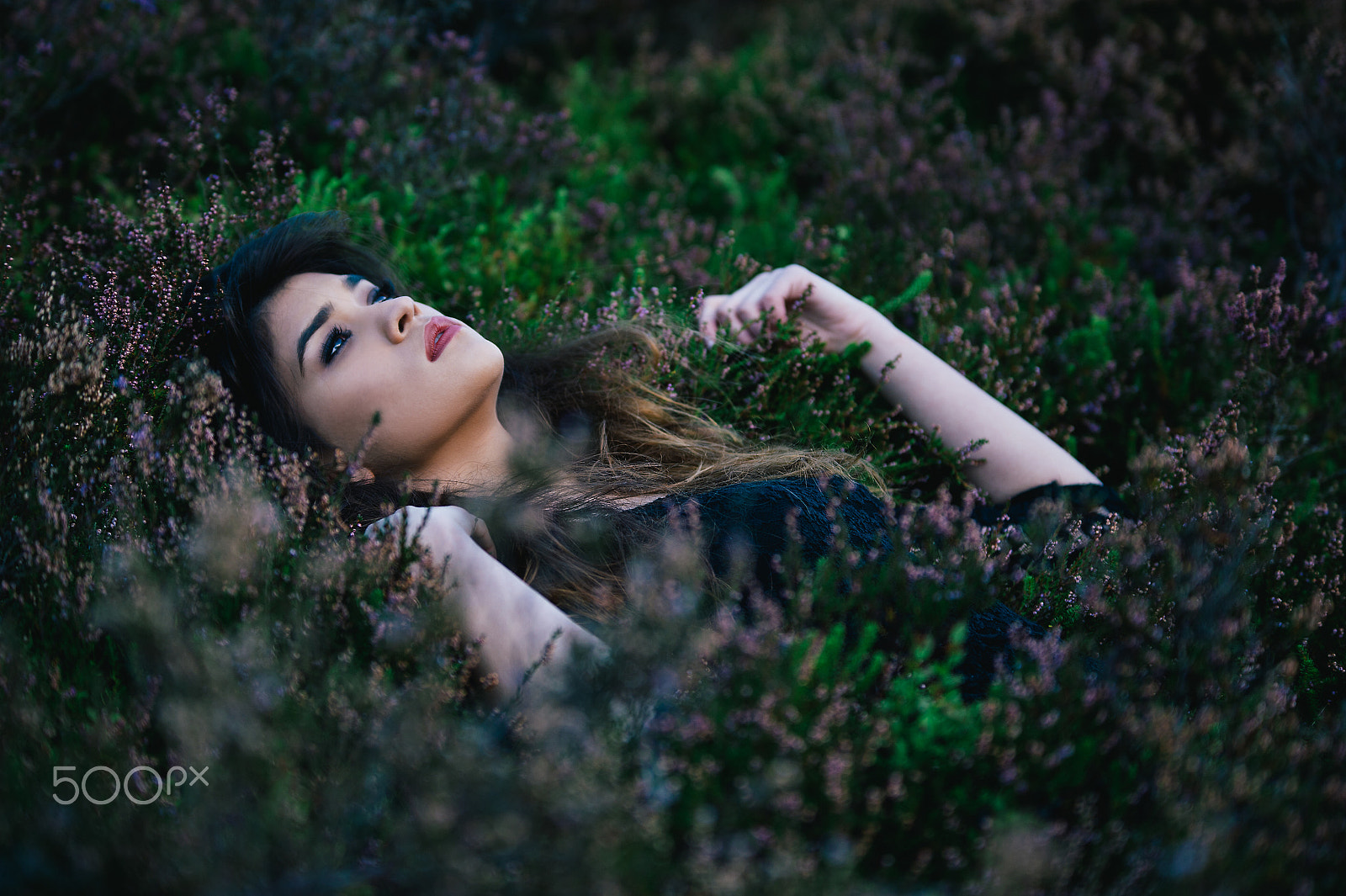 Sigma 70-200mm F2.8 EX DG OS HSM sample photo. Zara photography