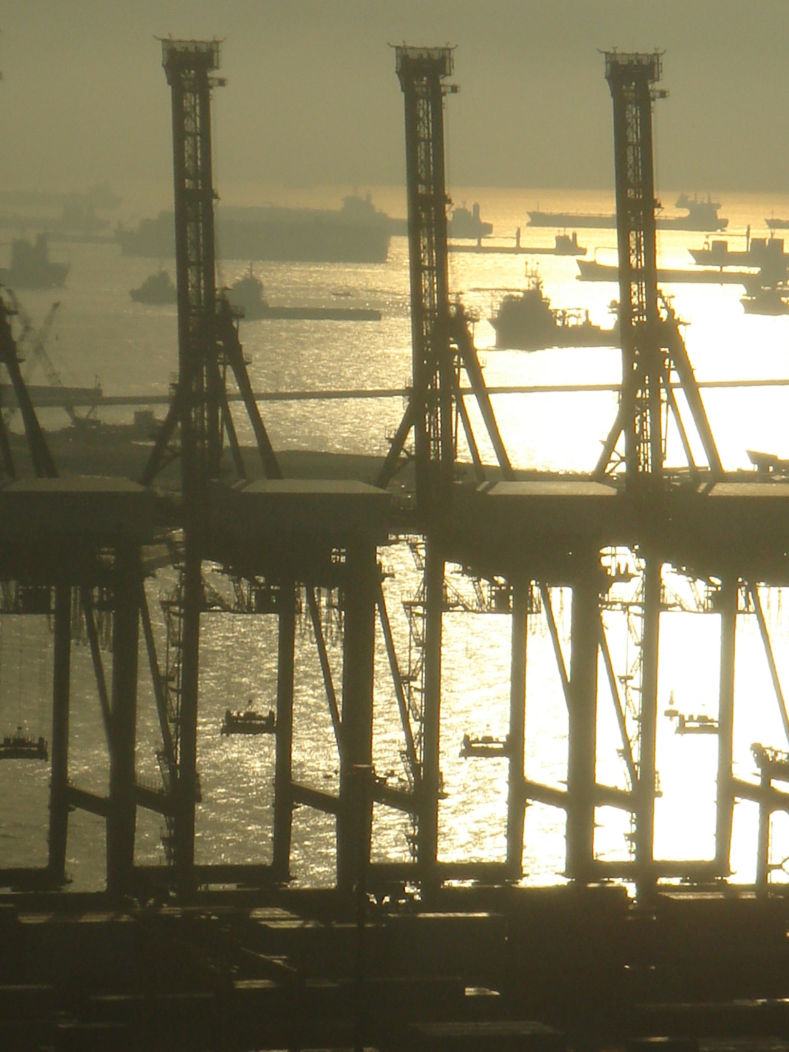 Sony DSC-T9 sample photo. __cranes in singapore__ photography