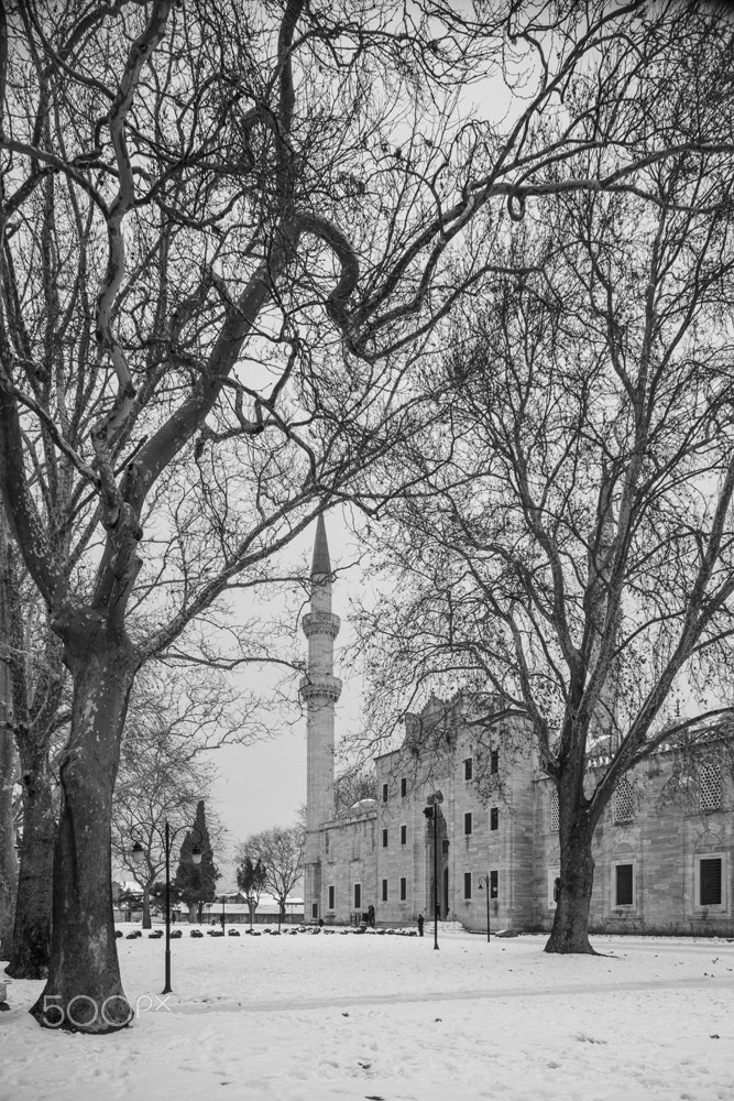 Nikon D800E + Nikon PC-E Nikkor 24mm F3.5D ED Tilt-Shift sample photo. SÜleymanİye mosque / istanbul photography