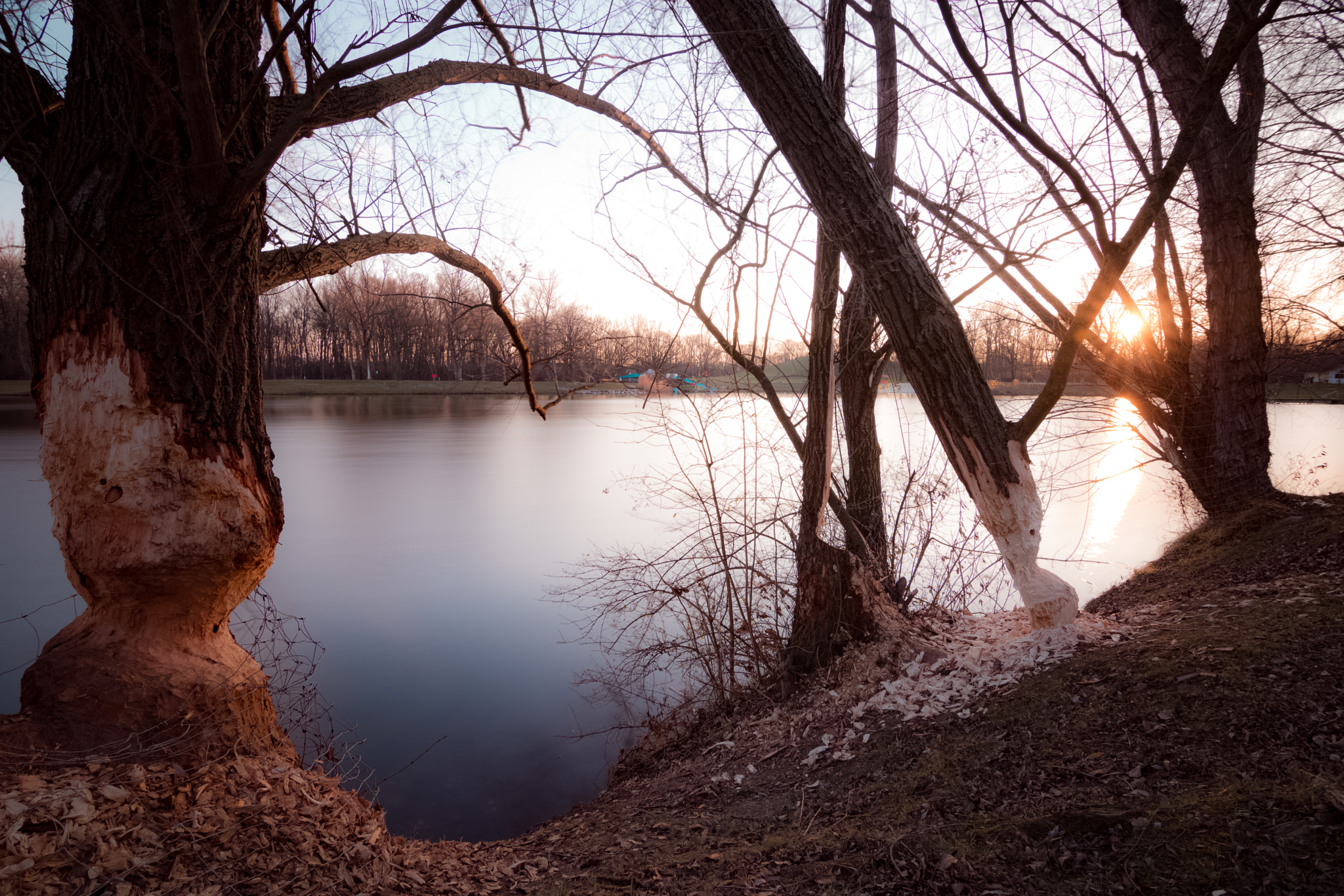Canon EOS 750D (EOS Rebel T6i / EOS Kiss X8i) sample photo. Sunset in austria photography
