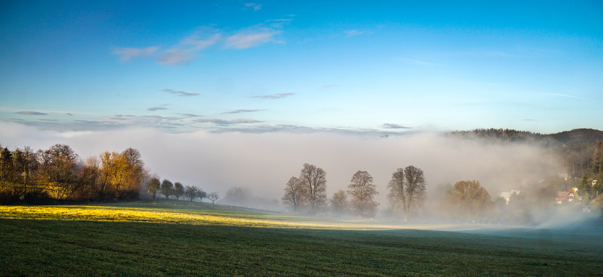 Sony a5100 + Sigma 19mm F2.8 EX DN sample photo. Town under fog photography