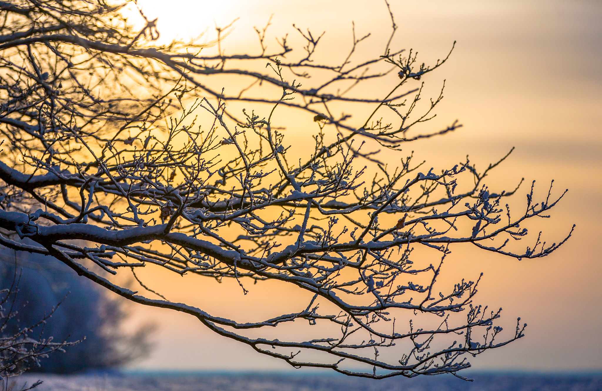 Canon EF 70-200mm F2.8L IS II USM sample photo. Winter haze photography