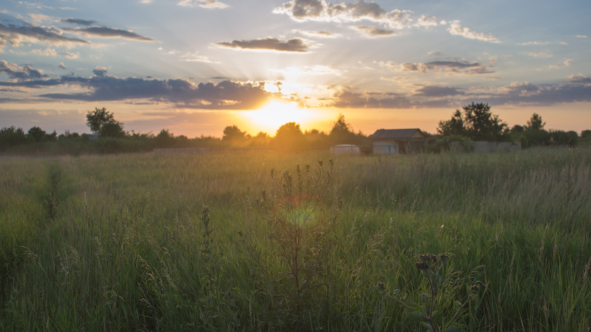 Sony SLT-A55 (SLT-A55V) + Minolta AF 24mm F2.8 sample photo. Warm sunset photography