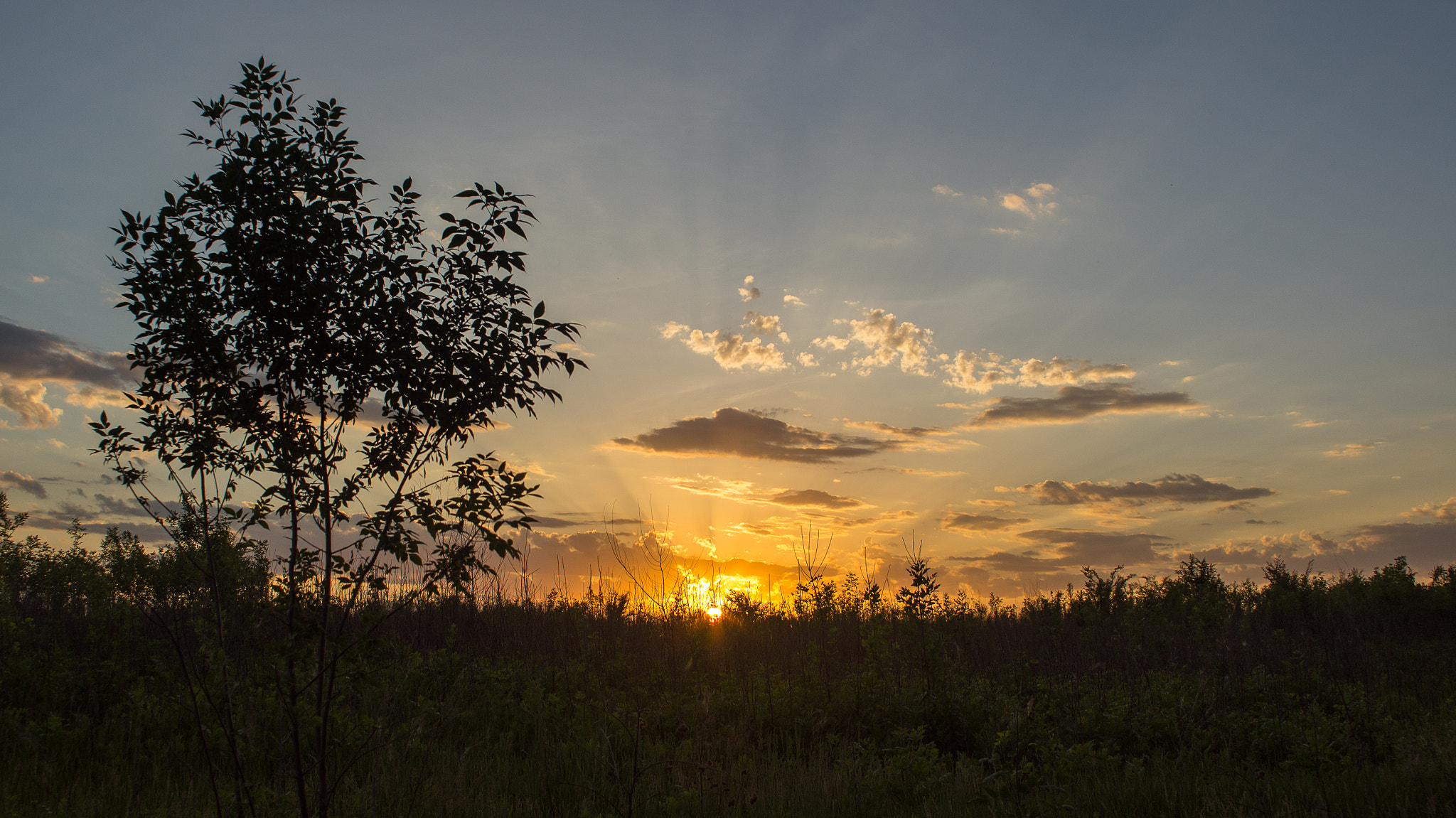 Sony SLT-A55 (SLT-A55V) + Minolta AF 24mm F2.8 sample photo. Warm sunset photography