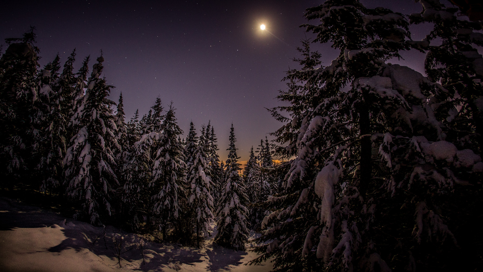 Canon EOS-1D Mark IV + Canon EF 15mm F2.8 Fisheye sample photo. Winter night moon light photography