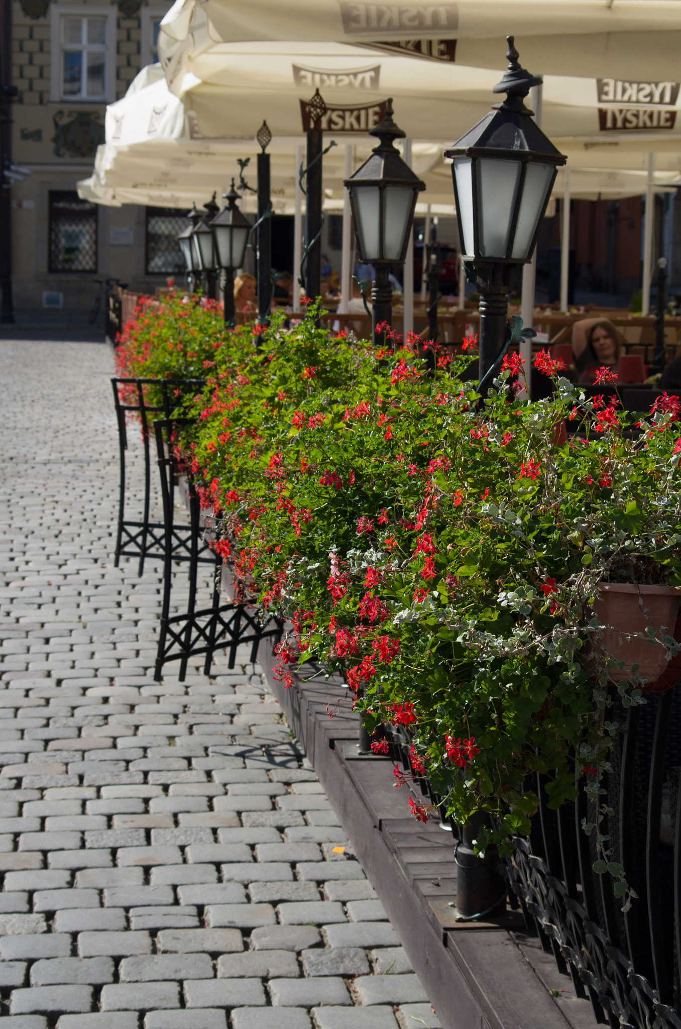 AF Zoom-Nikkor 35-80mm f/4-5.6D sample photo. Poznań  photography