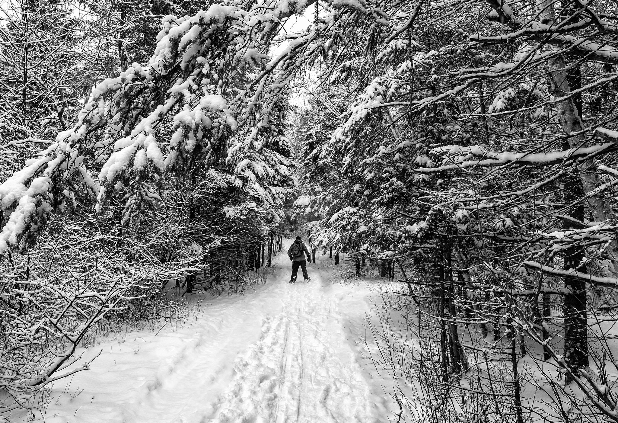 Olympus OM-D E-M5 II + OLYMPUS M.12mm F2.0 sample photo. Winter wonderland - old quarry trail photography