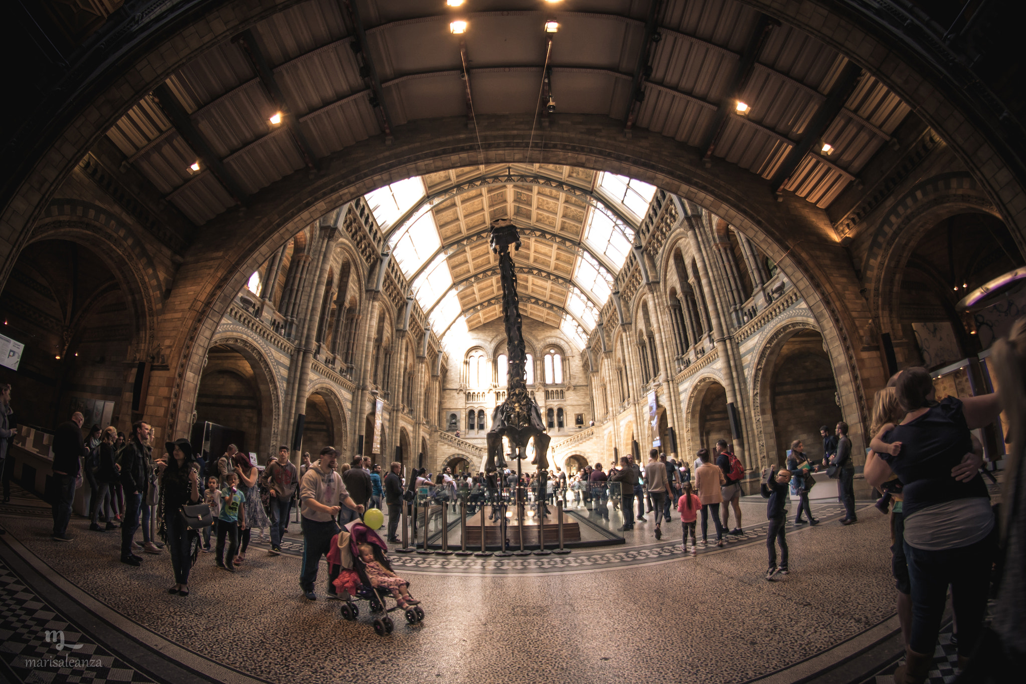 Nikon D610 + Samyang 8mm F3.5 Aspherical IF MC Fisheye sample photo. Natural history museum photography