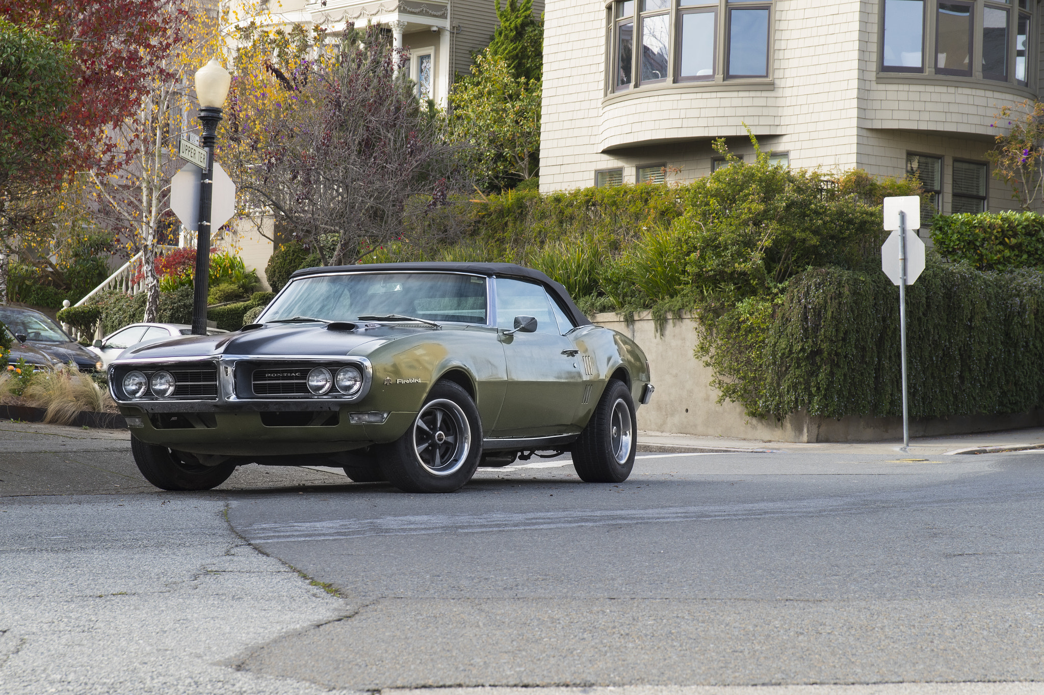 Pentax K-S2 sample photo. Firebird photography