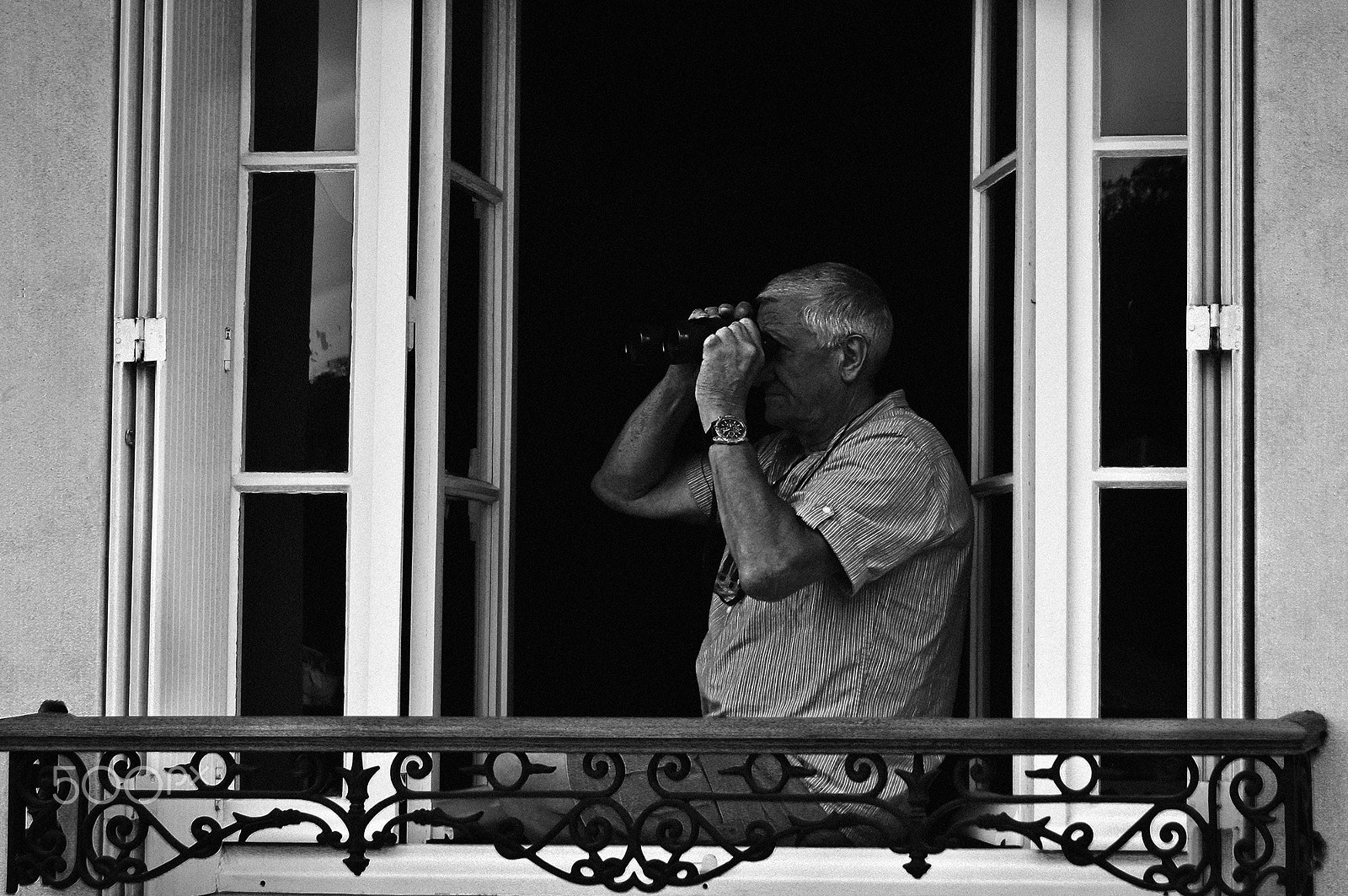 Sony Alpha DSLR-A580 sample photo. Watching... photography