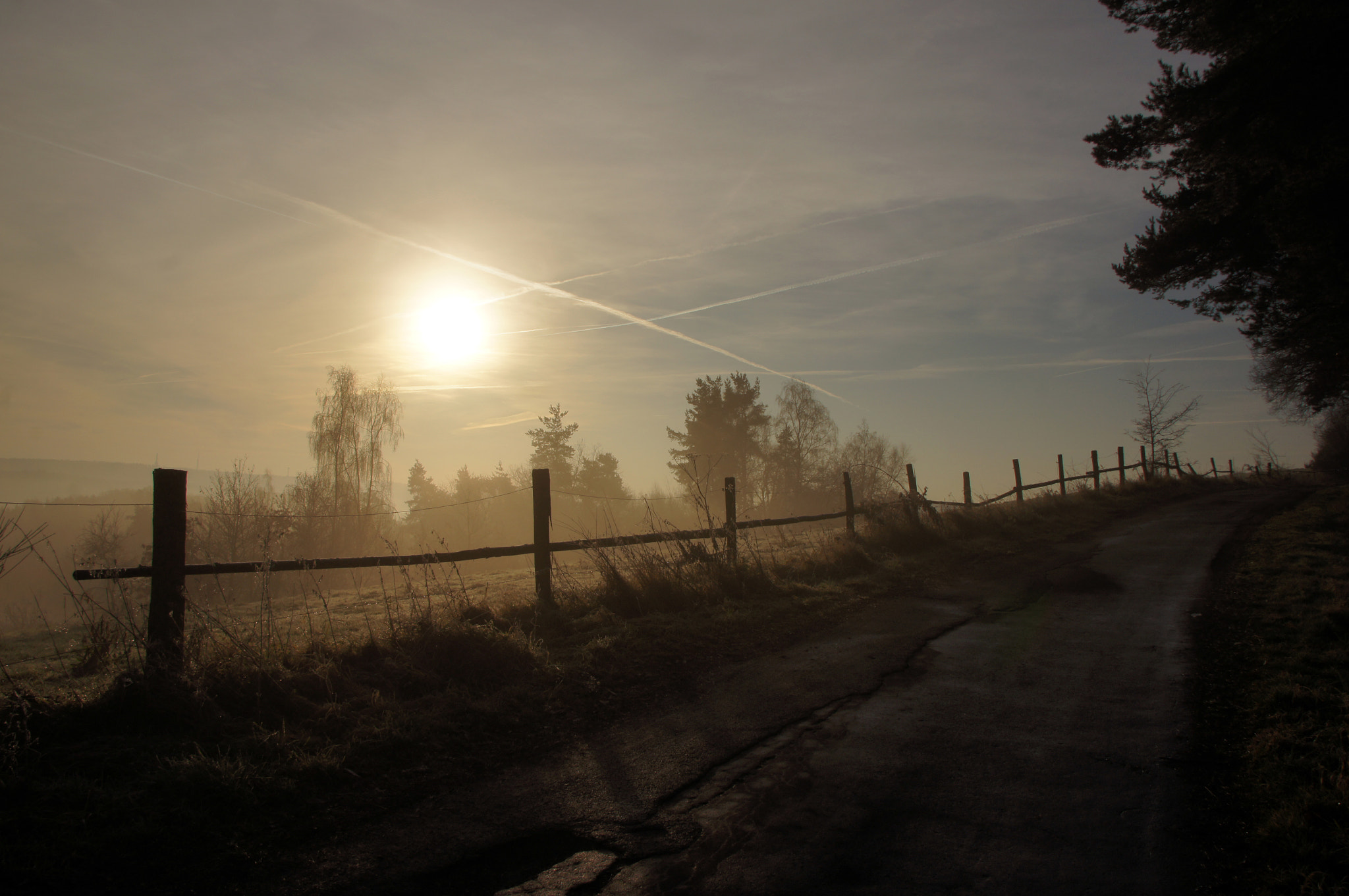 Sony Alpha DSLR-A580 sample photo. Frosty fog photography