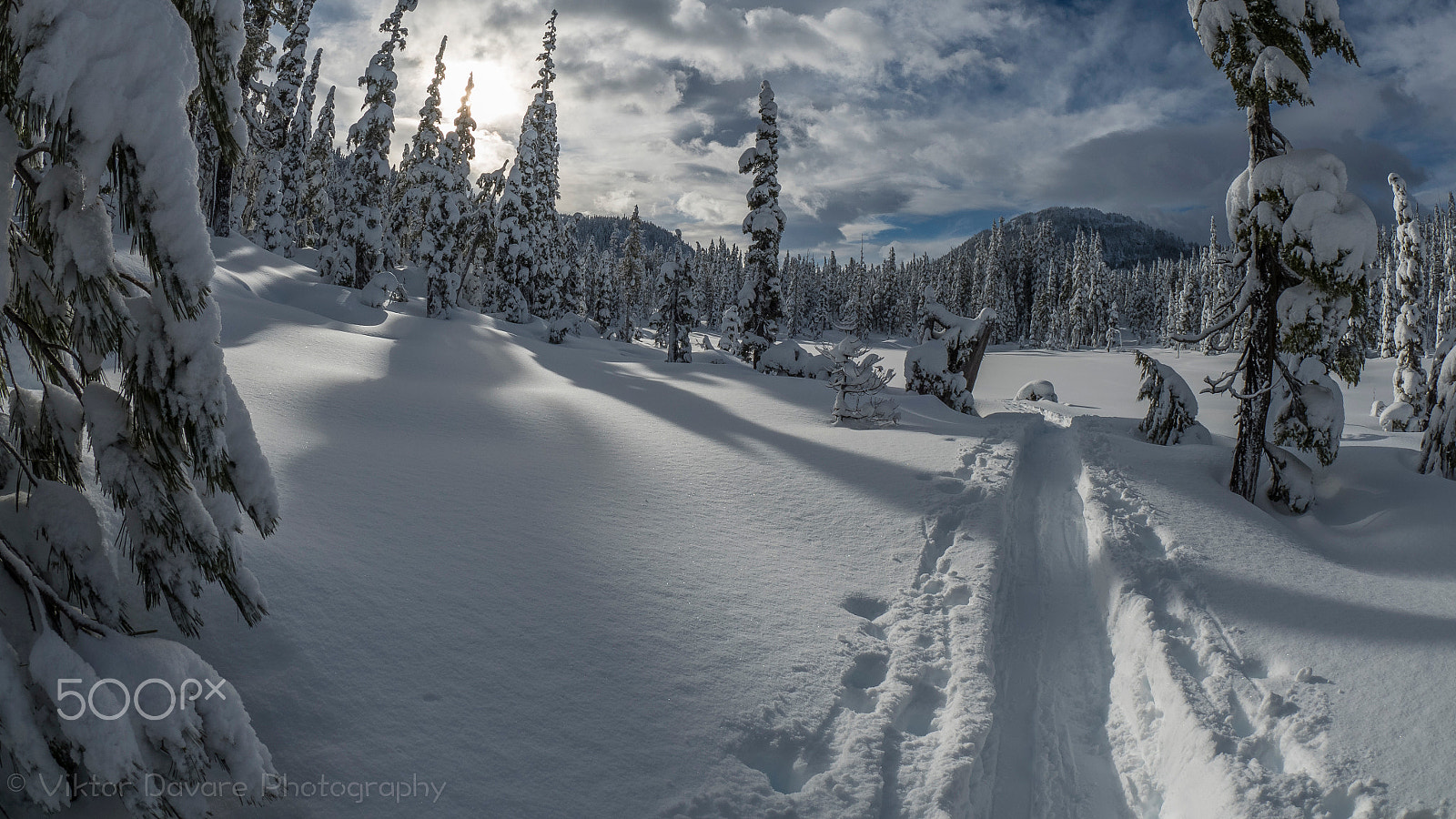 Olympus OM-D E-M5 II + OLYMPUS M.8mm F1.8 sample photo. Trail into winter wonderland photography