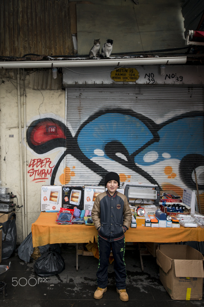 Nikon D800E + Nikon PC-E Nikkor 24mm F3.5D ED Tilt-Shift sample photo. Cats & child / in istanbul photography