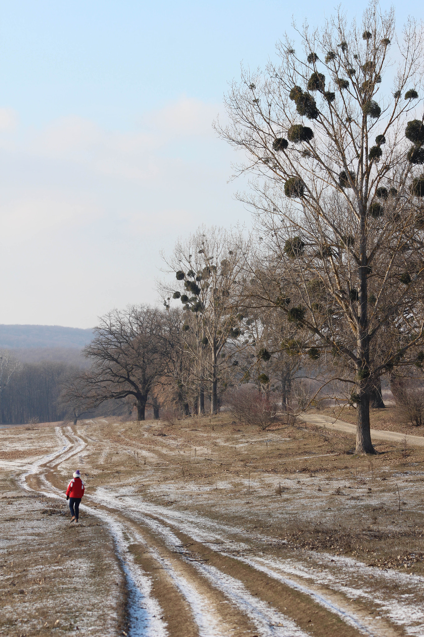Canon EF 90-300mm F4.5-5.6 USM sample photo. Road to nowhere photography